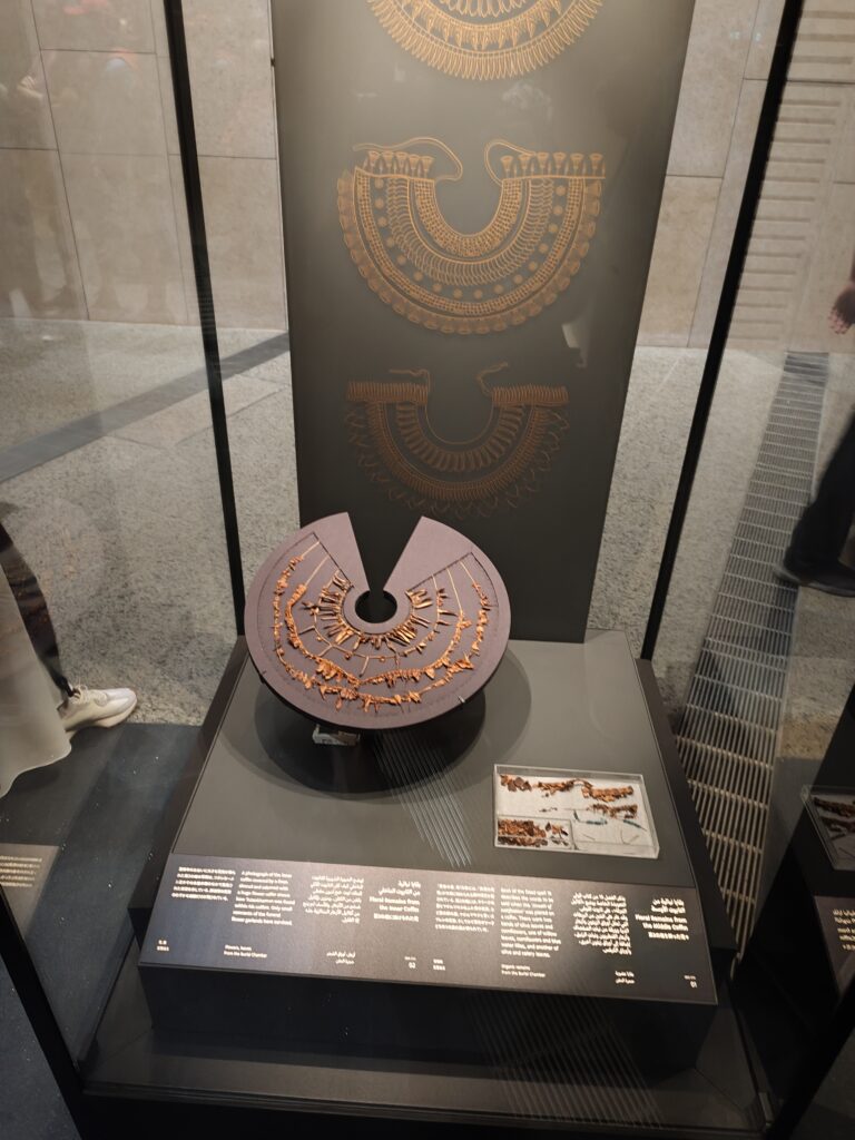 Egipat, Novootvoreni Veliki egipatski muzej, palto u Gizi Foto: Miljana Isailović/Nova.rs