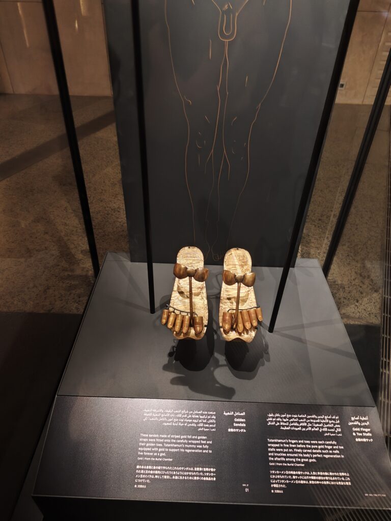 Egipat, Novootvoreni Veliki egipatski muzej, palto u Gizi Foto: Miljana Isailović/Nova.rs