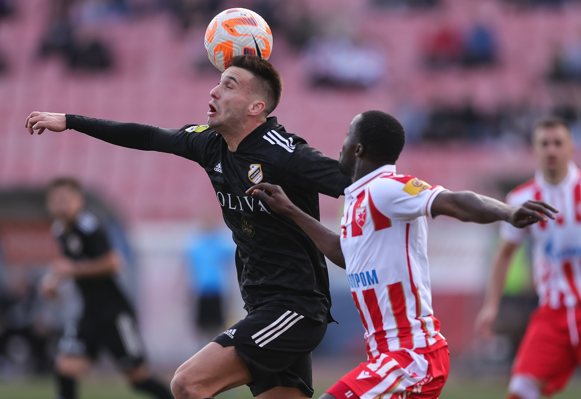 during the Mozzart Super Liga match between Crvena Zvezda and FK Cukaricki at stadium Rajko Mitic (Marakana) on February 18, 2022 in Belgrade, Serbia. (Photo by Srdjan Stevanovic/Starsport.rs ©)
