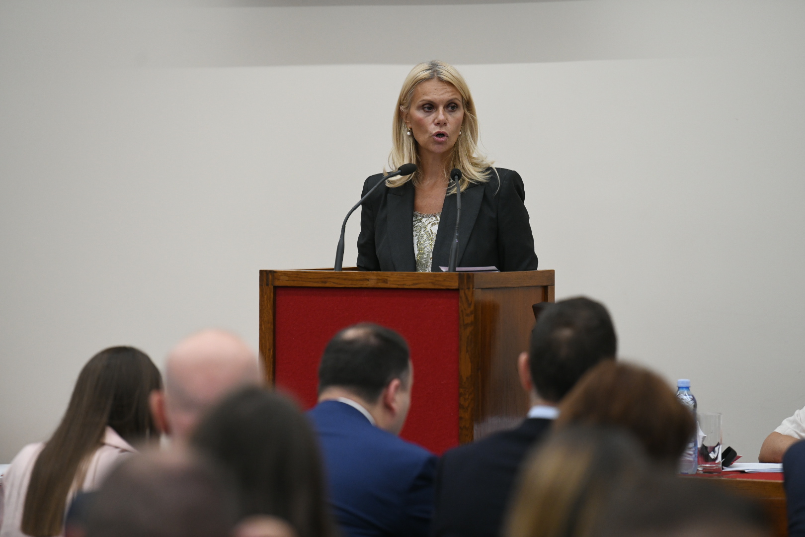 Beograd 18. avgust 2022. Sednica Skupštine grada Beograda Foto:Vesna Lalić/Nova.rs