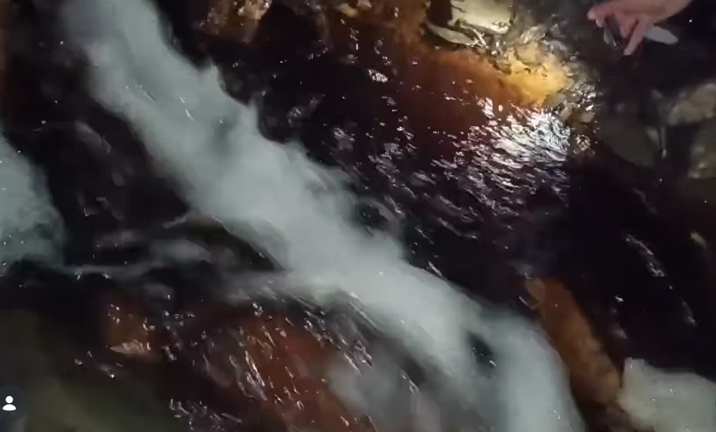 Deponija Duboko Foto: Instagram/da_ne_disemoduboko