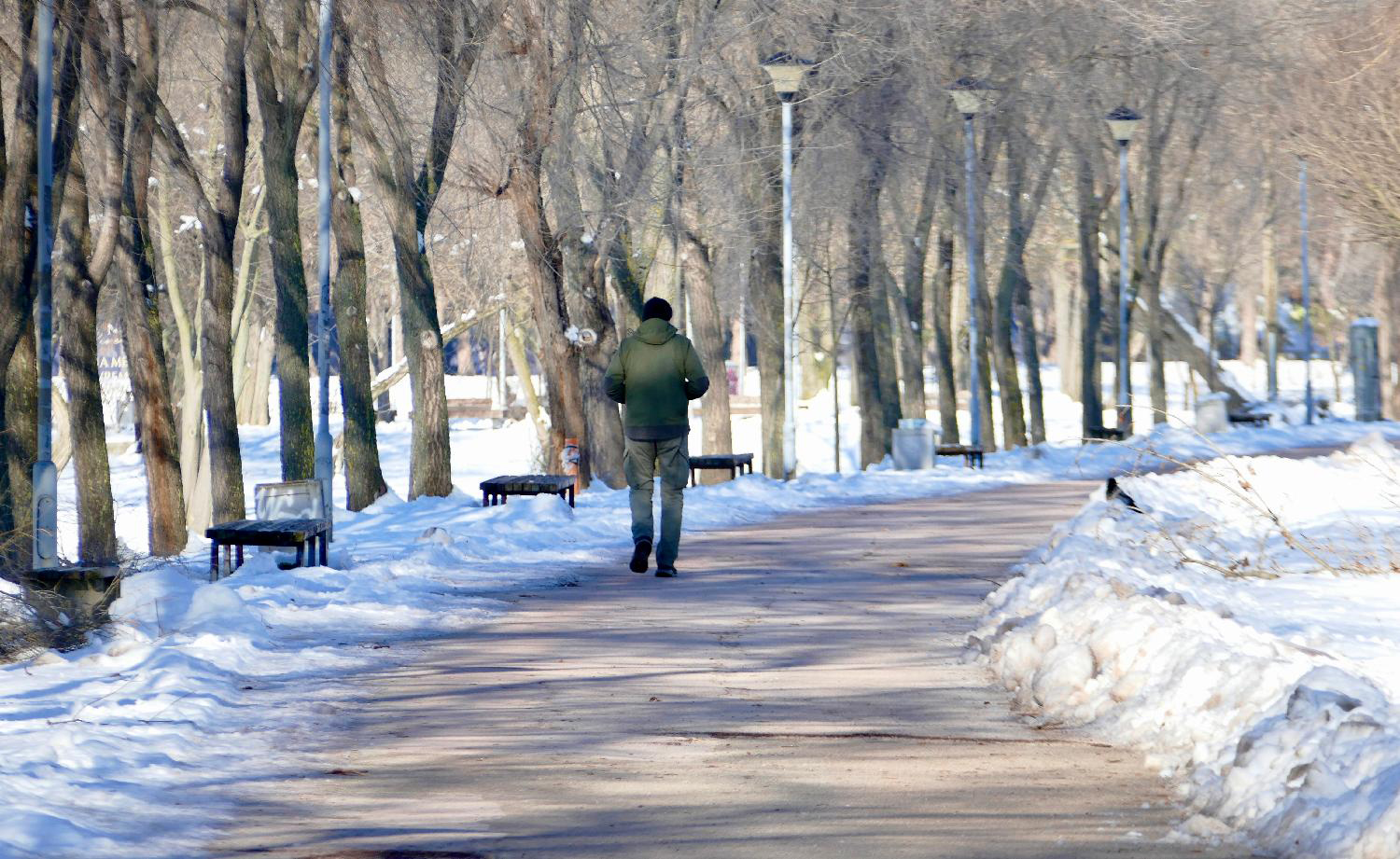 Mesto: Beograd
Datum: Mon Jan 12 10:52:06 CET 2026
Dogadjaj: DRUŠTVO - prepodnevna atmosfera u ledeno hladnom Beogradu
Fotoreporter: Ognjen Stevanović
Izvor: FoNet