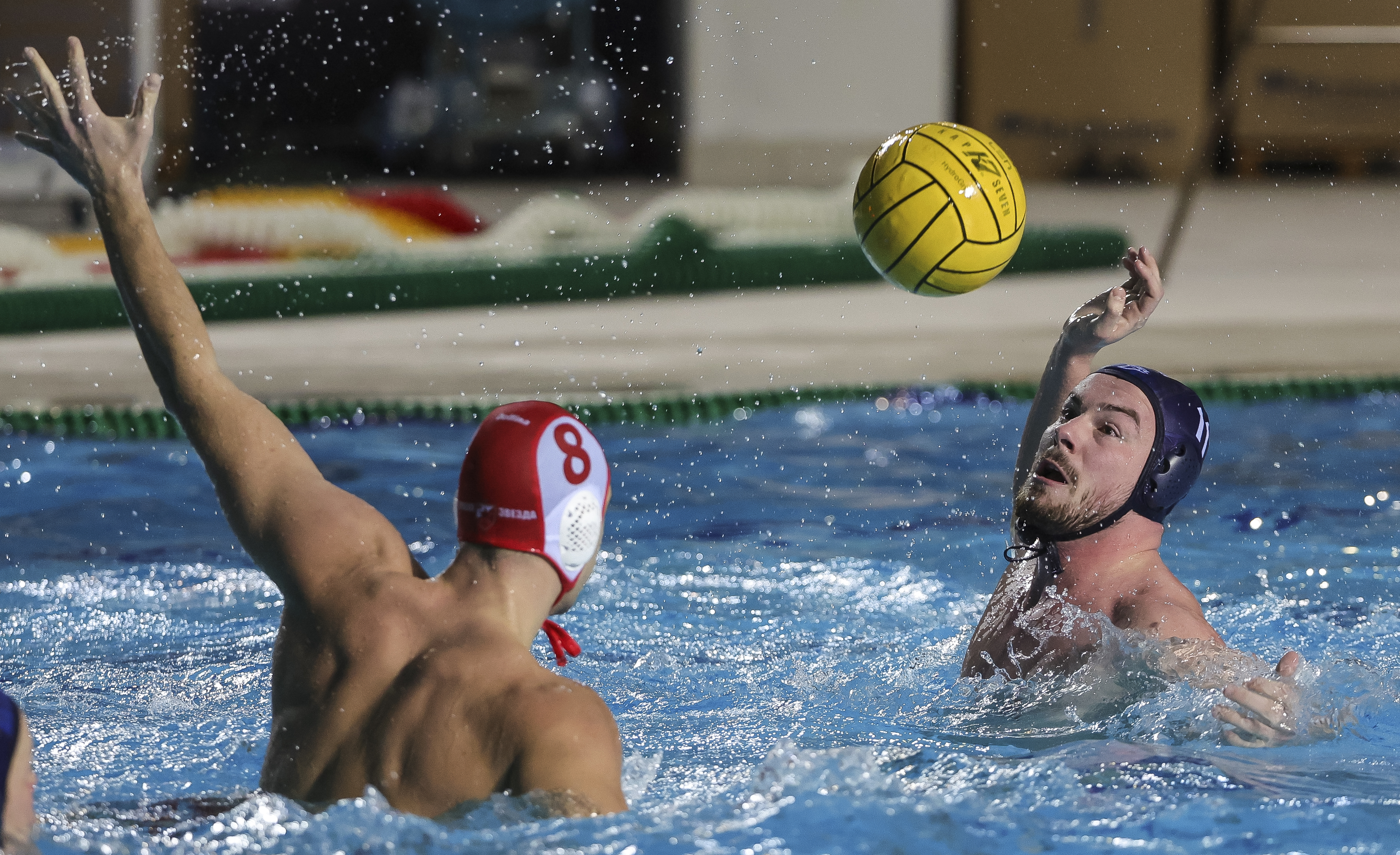 Radomir Drasovic (R)
Vatrepolo-Season 2021/2022
Crvena Zvezda v Novi Beograd
Beograd, 19.02.2022.
foto: Srdjan Stevanovic/Starsport.rs ©