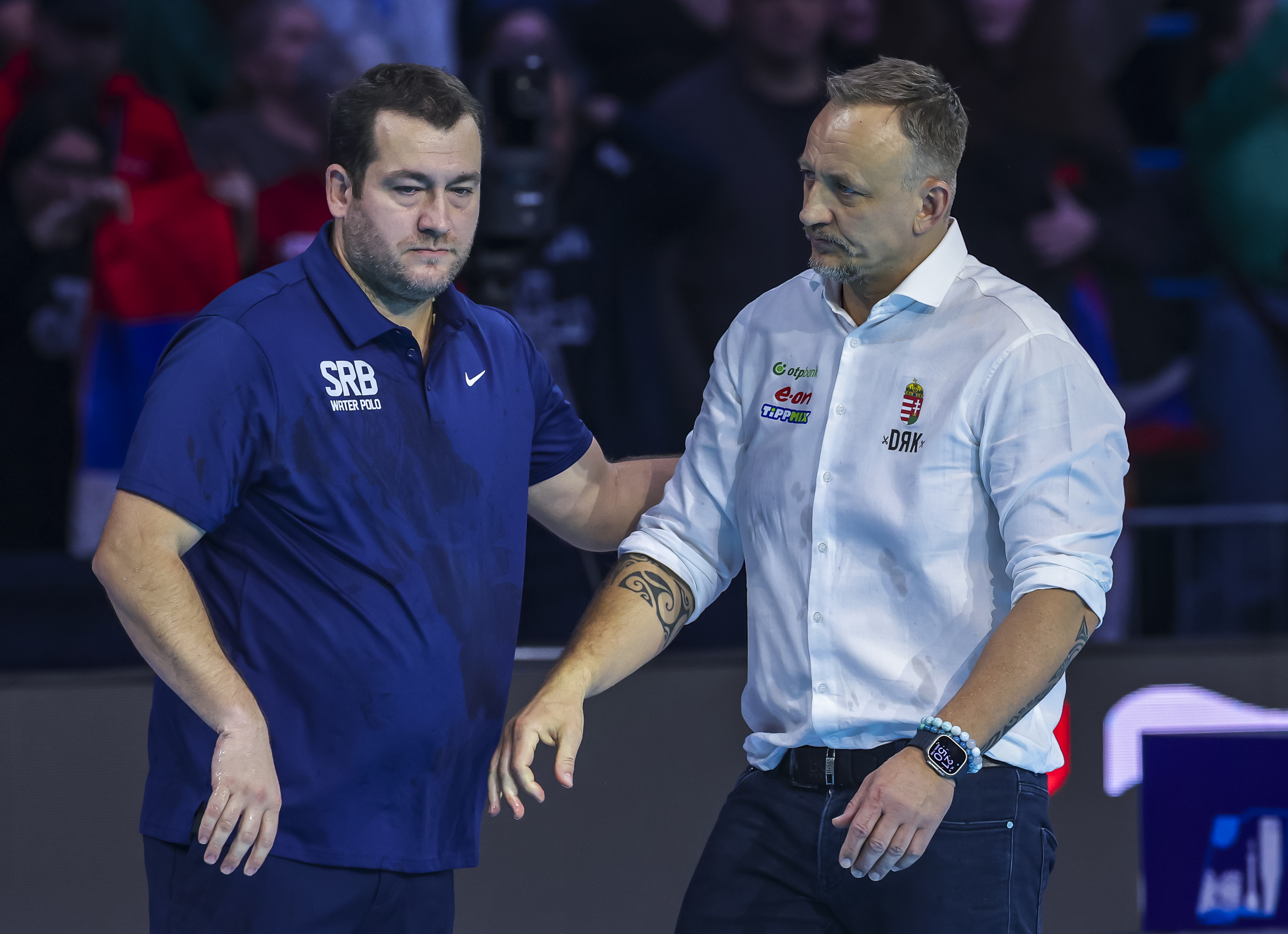 European Water Polo Championships 2026 - Belgrade