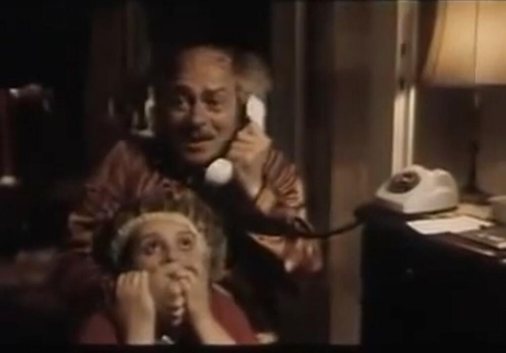 Lepa Brena Foto: Printscreen/Nema problema