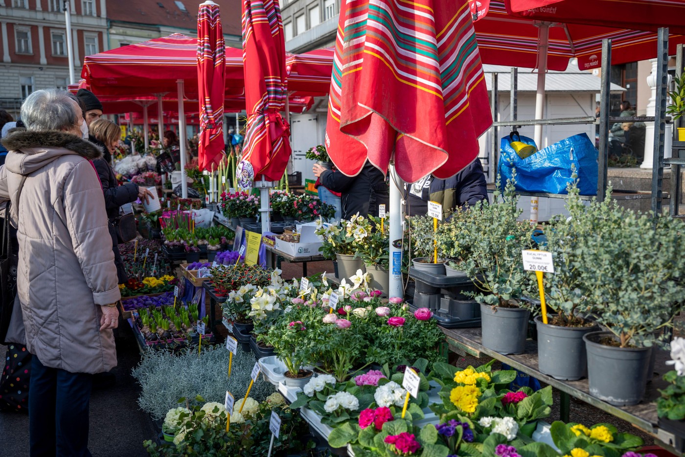 profimedia-1070235653