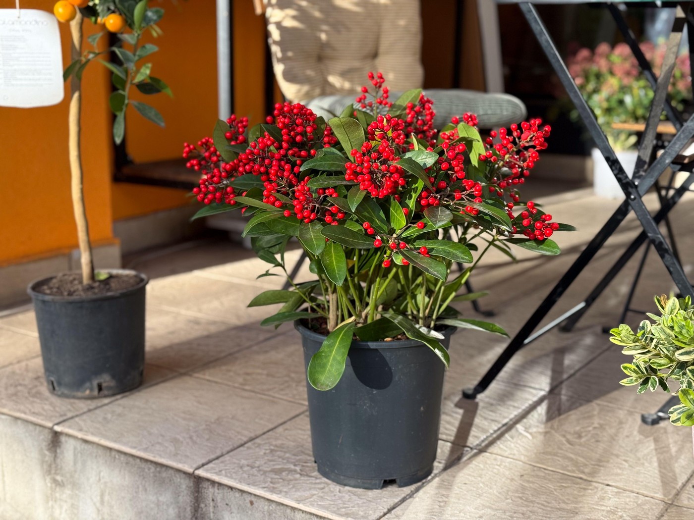 profimedia-1060532544