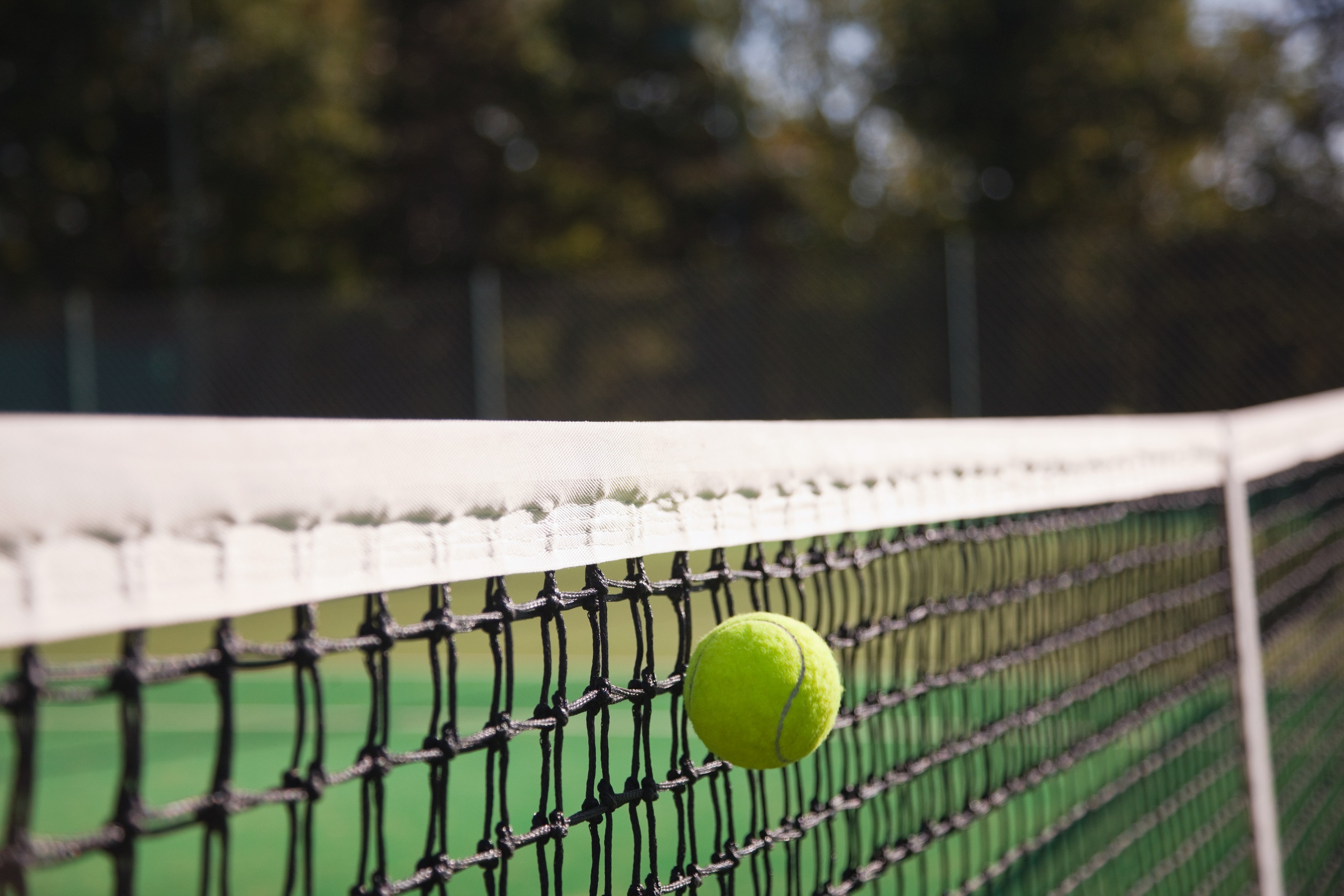 Tennis ball and net