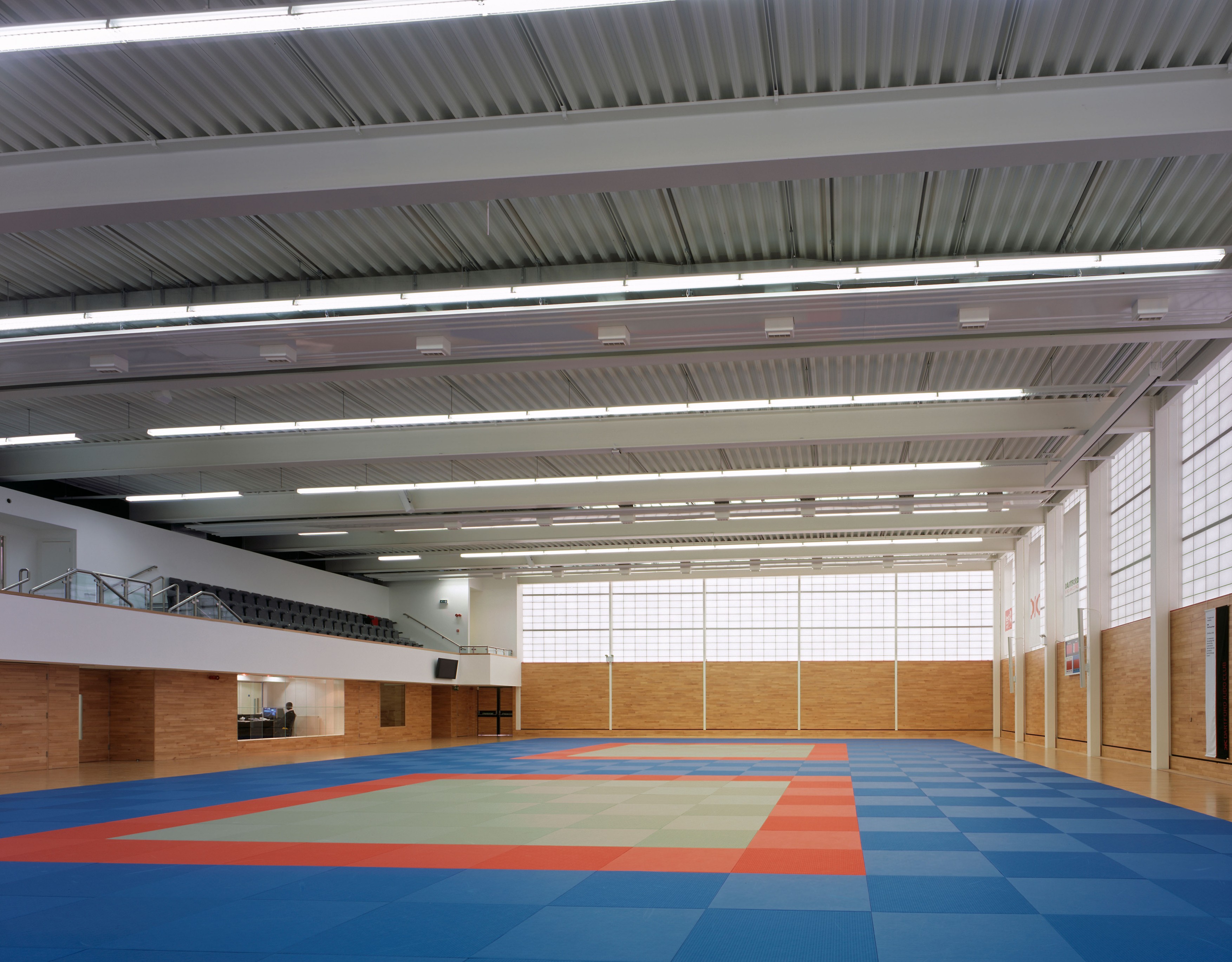 judo