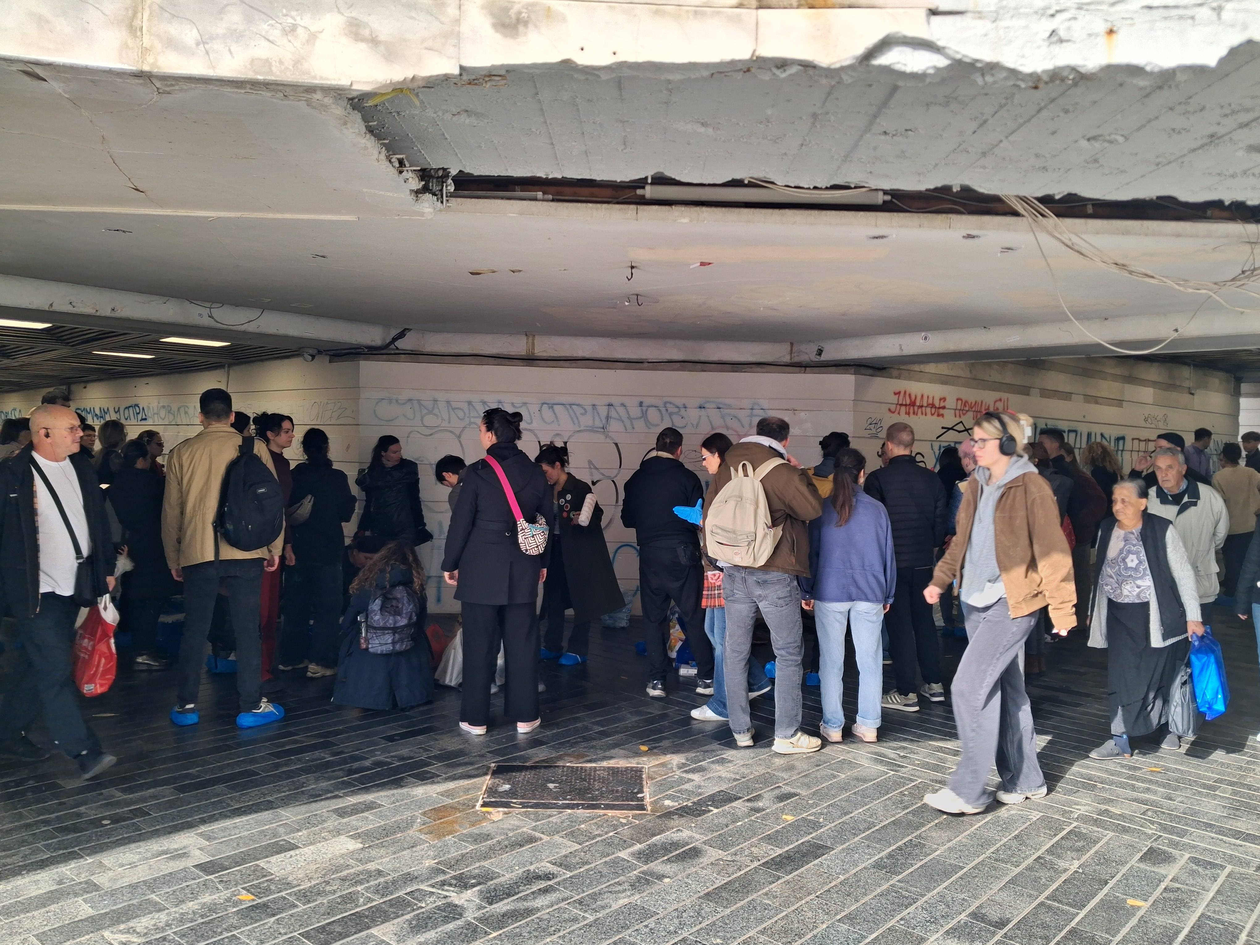 akcija čišćenja prolaza na zelenom vencu