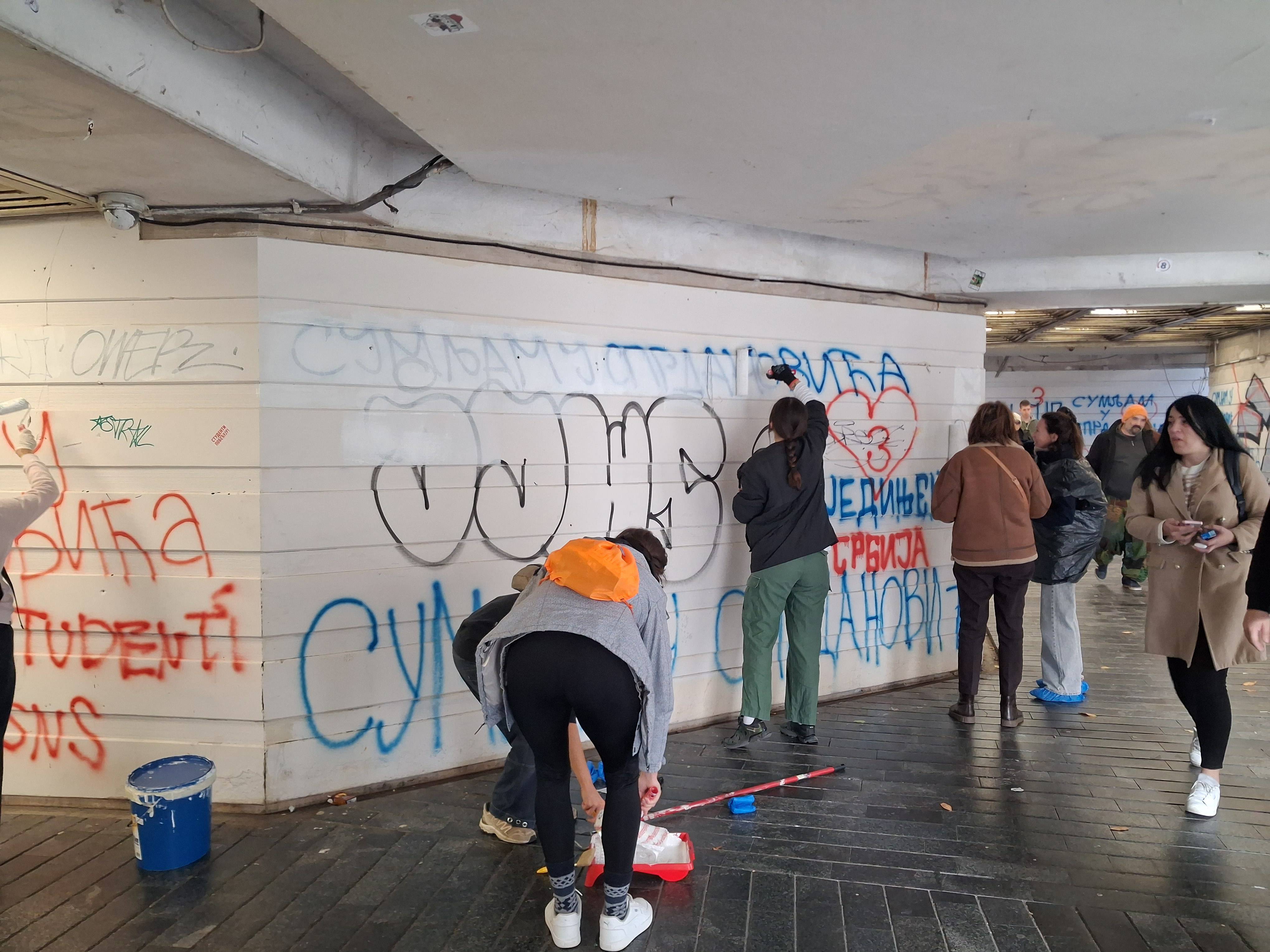 akcija čišćenja prolaza na zelenom vencu