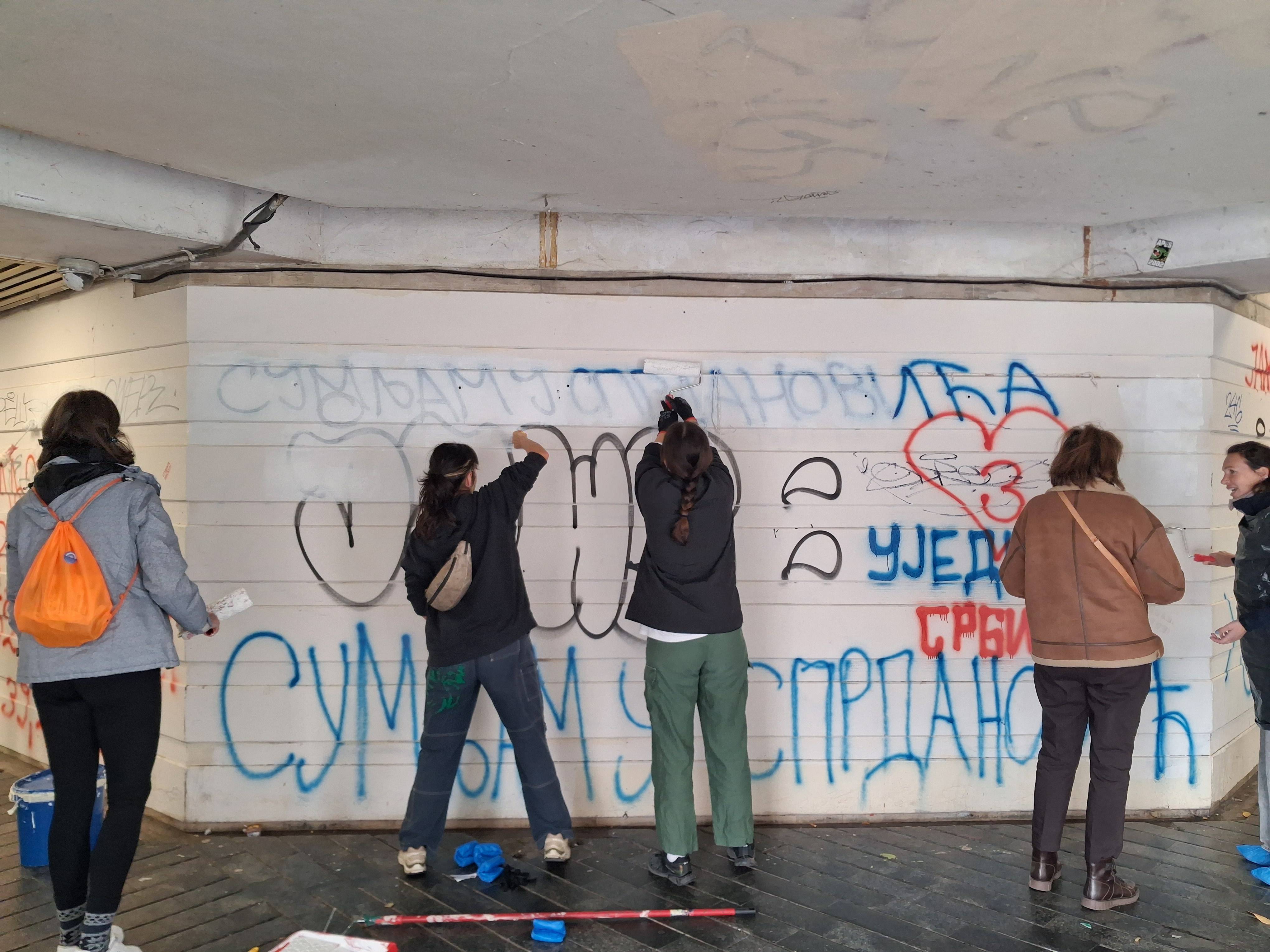 akcija čišćenja prolaza na zelenom vencu