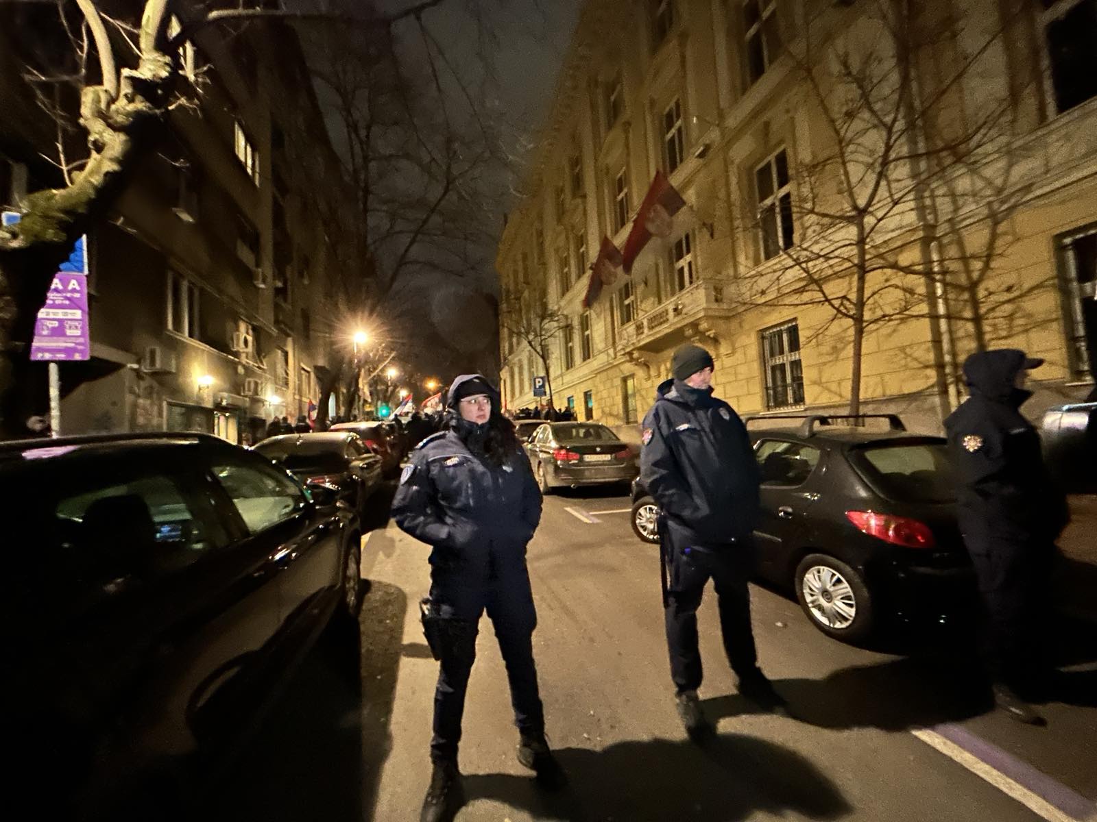 Skupovi antifašista i simpatizera Milana Nedića na istom mestu u Beogradu: Policija razdvaja dve grupe