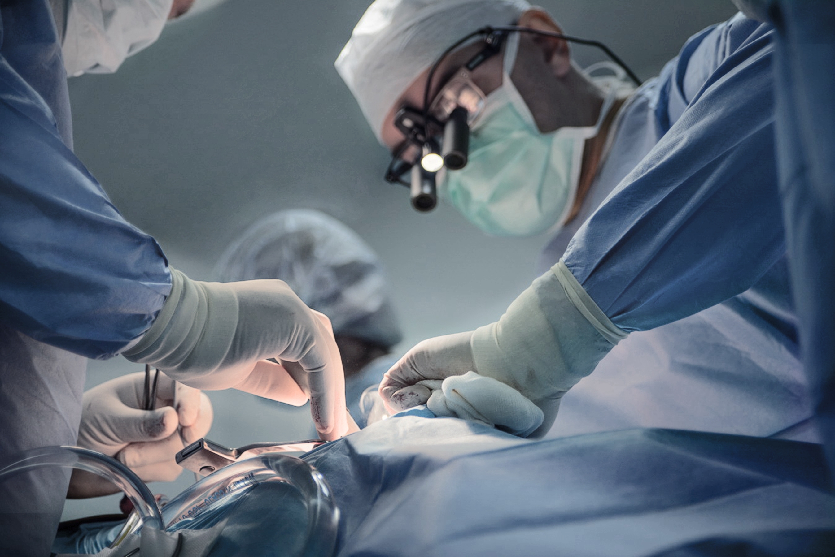 Transplantacija