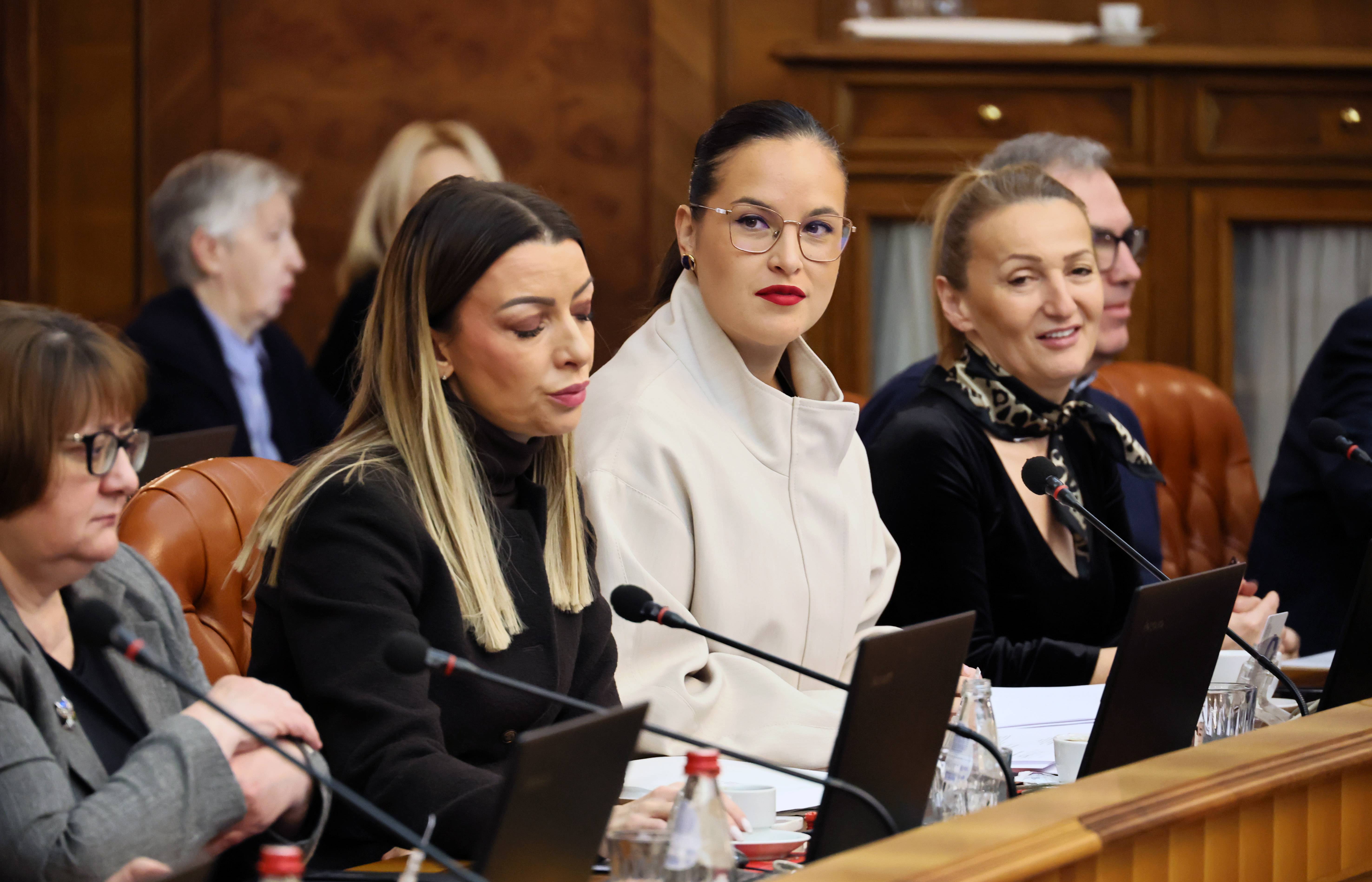 Adrijana Mesarović Sara Pavkov Sednica Vlade Srbije (2).jpg