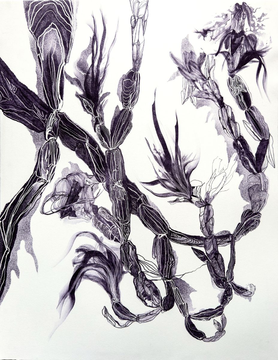 Eduardo Barera-Geo-estetska studija VII, Kaktusnjak.jpg, Savremena meksička grafika u Institutu Servantes