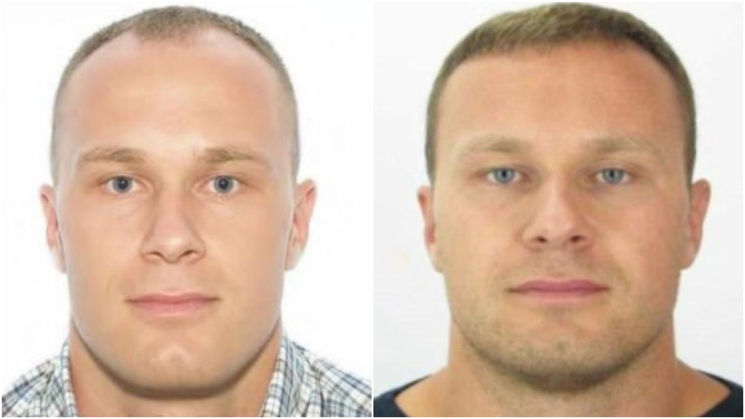 Radoje Zvicer Foto Europoleumostwanted.eu.jpg