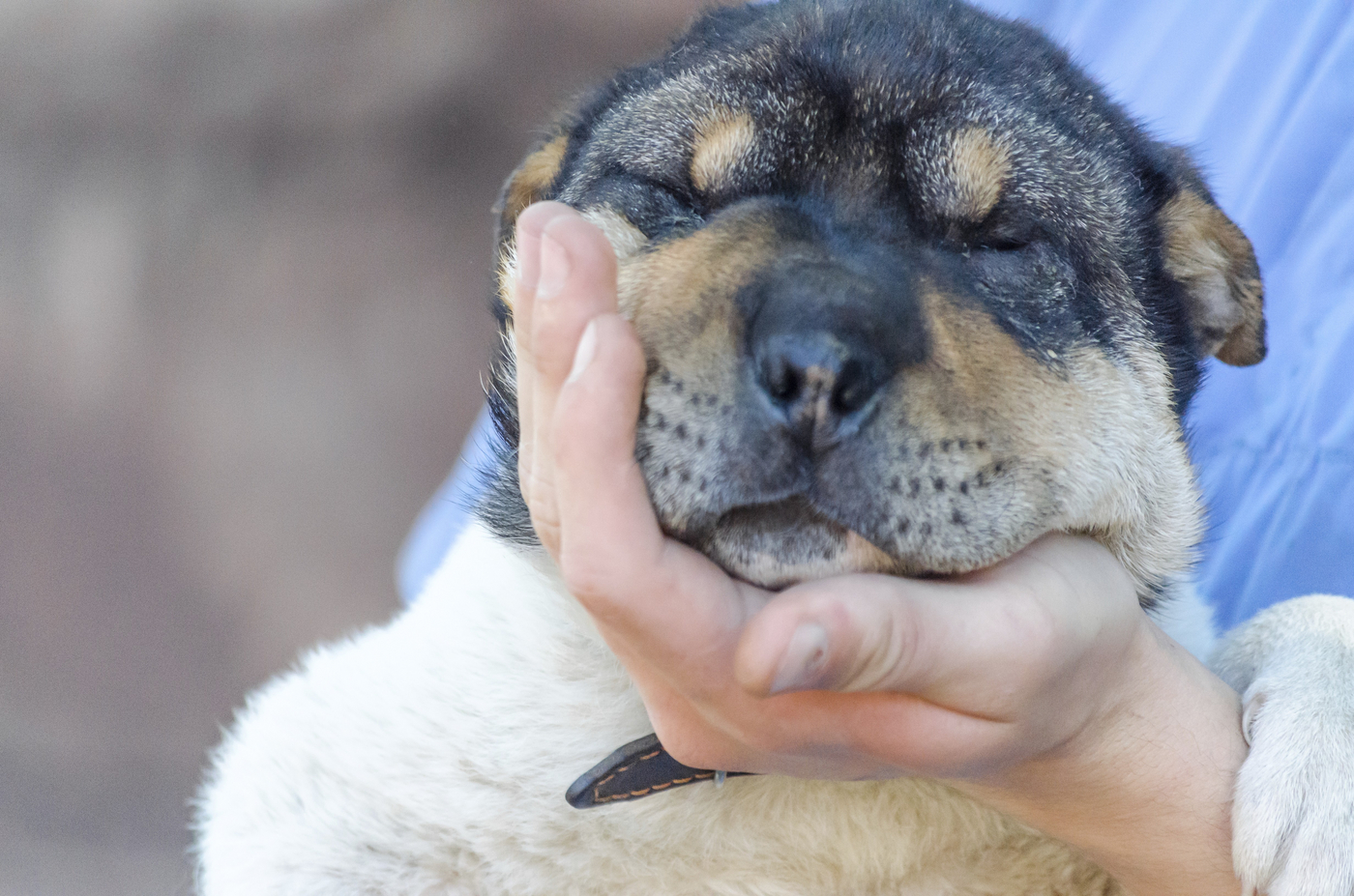 profimedia-1022941263