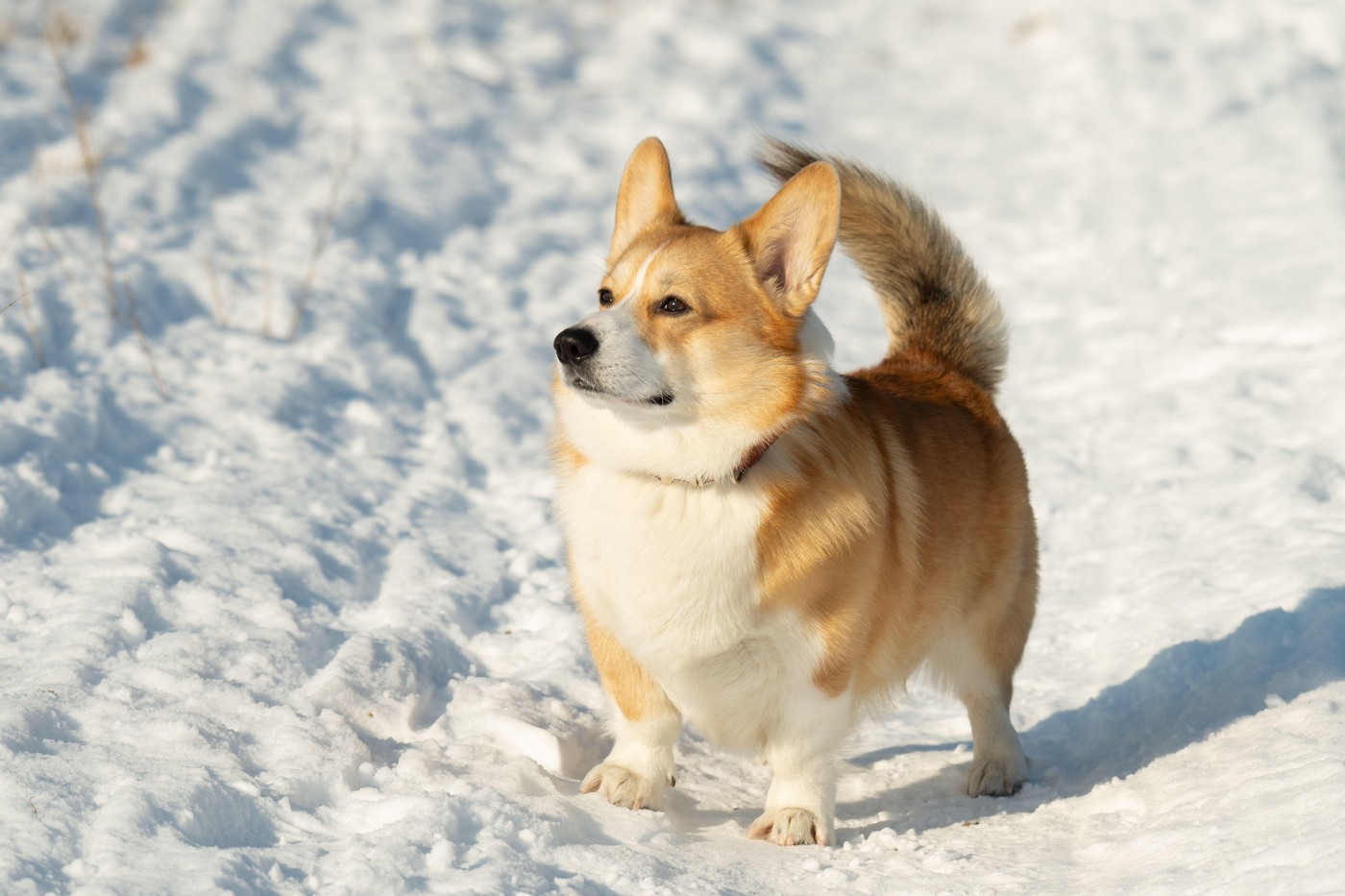 profimedia-1071673382