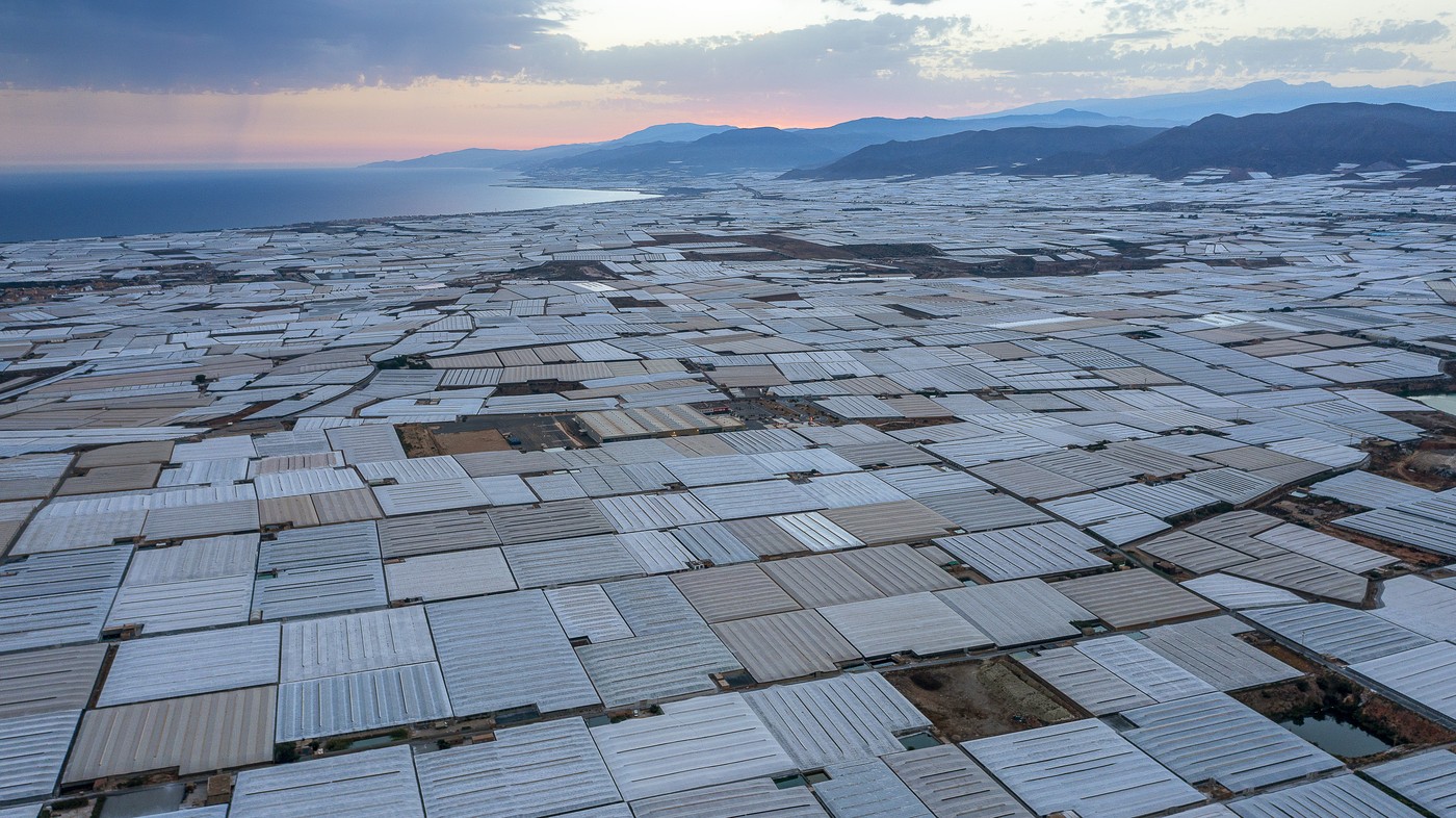 profimedia-0962815110