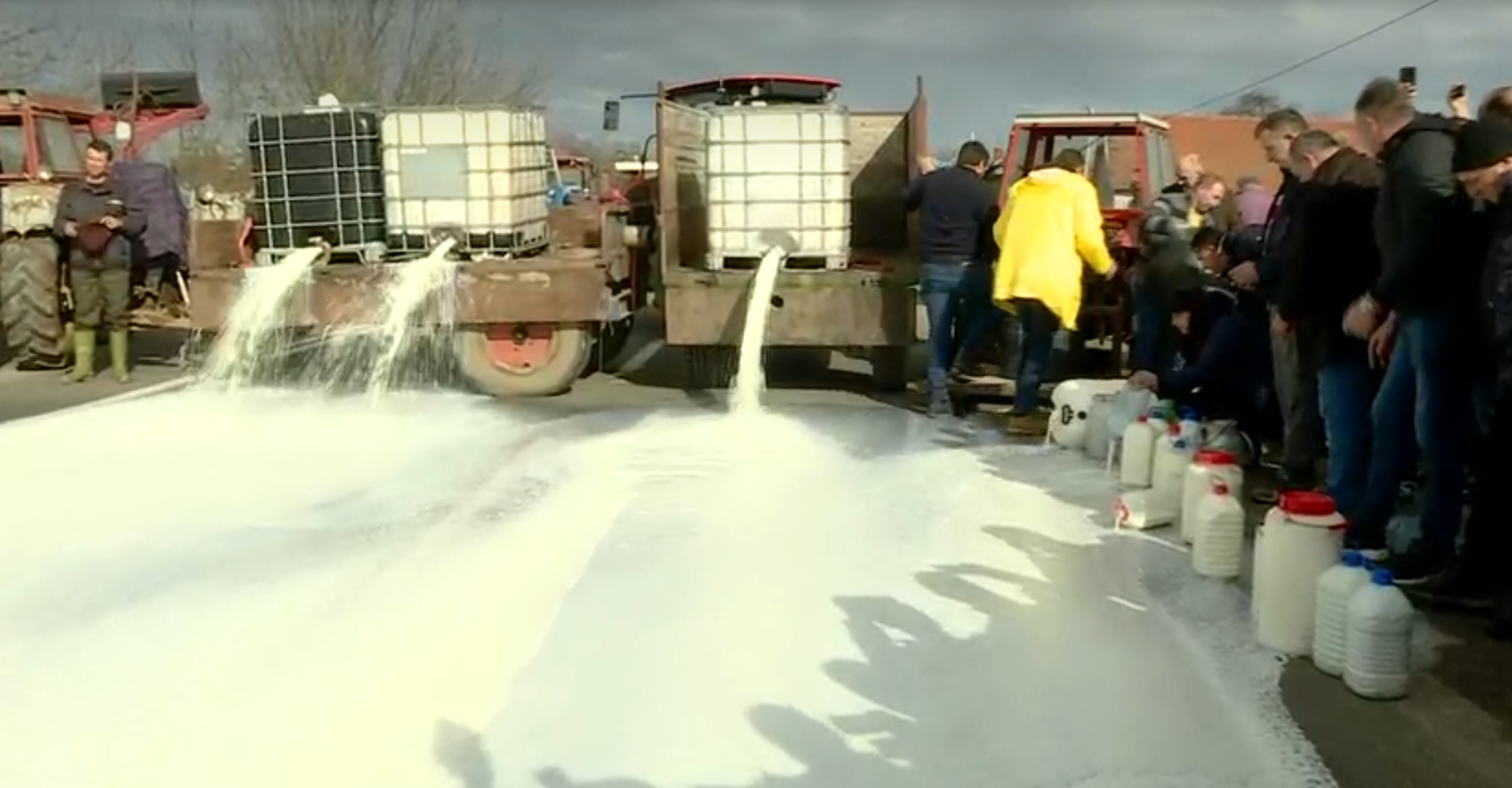 Najmasovniji protest do sada, prosute tone mleka: Poljoprivrednici blokirali Ibarsku magistralu i put u Kniću, mleko, prosipanje mleka, knić