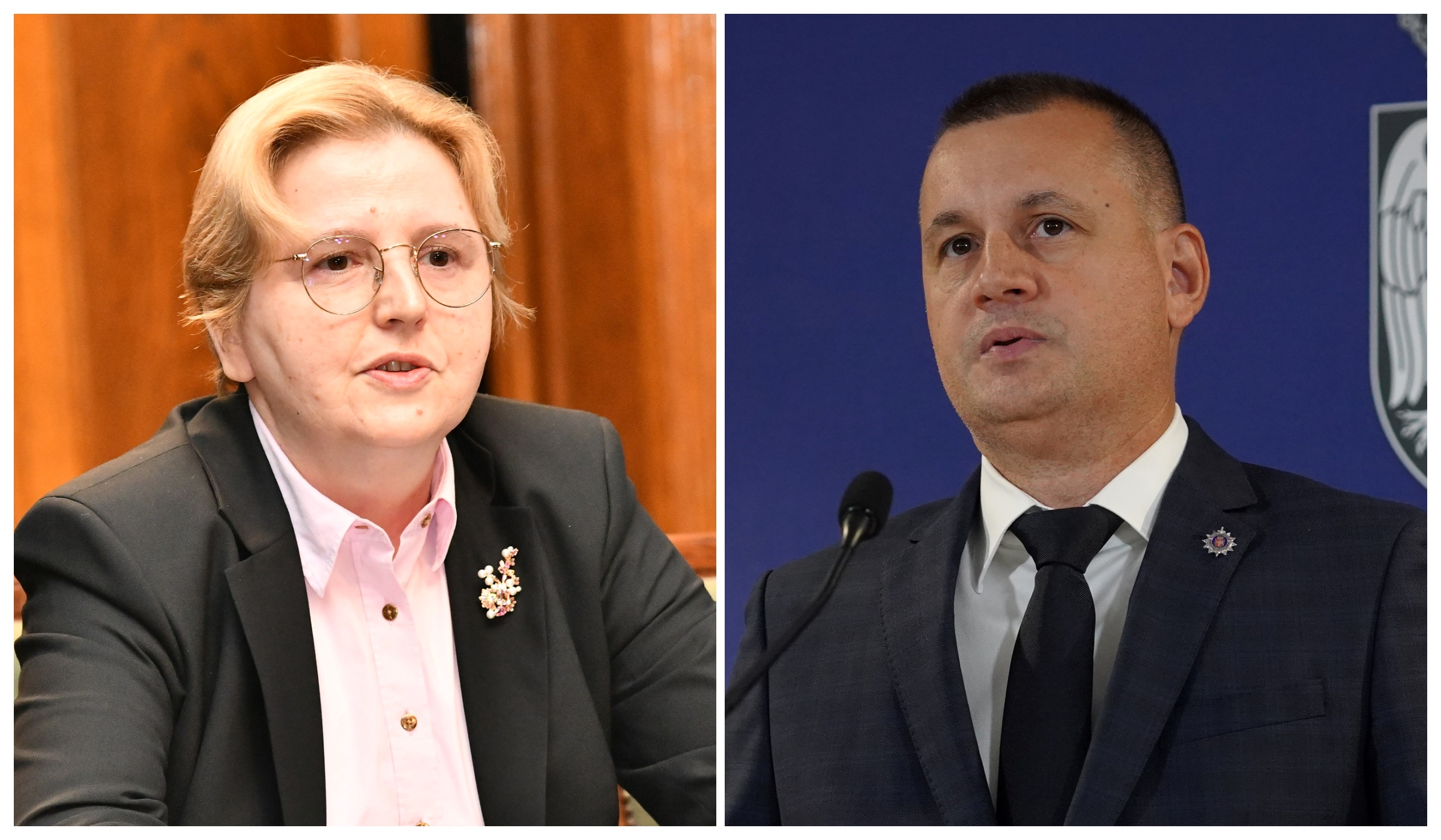 Zagorka Dolovac, Nenad Stefanović kombo