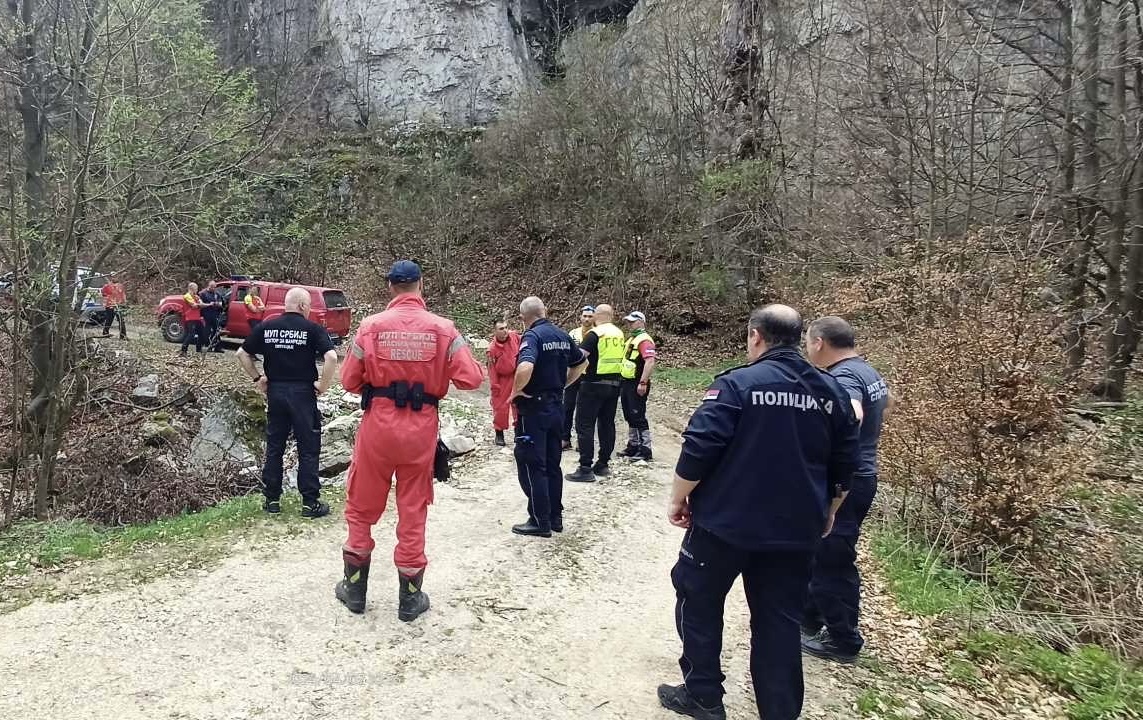 Danka Ilić potraga