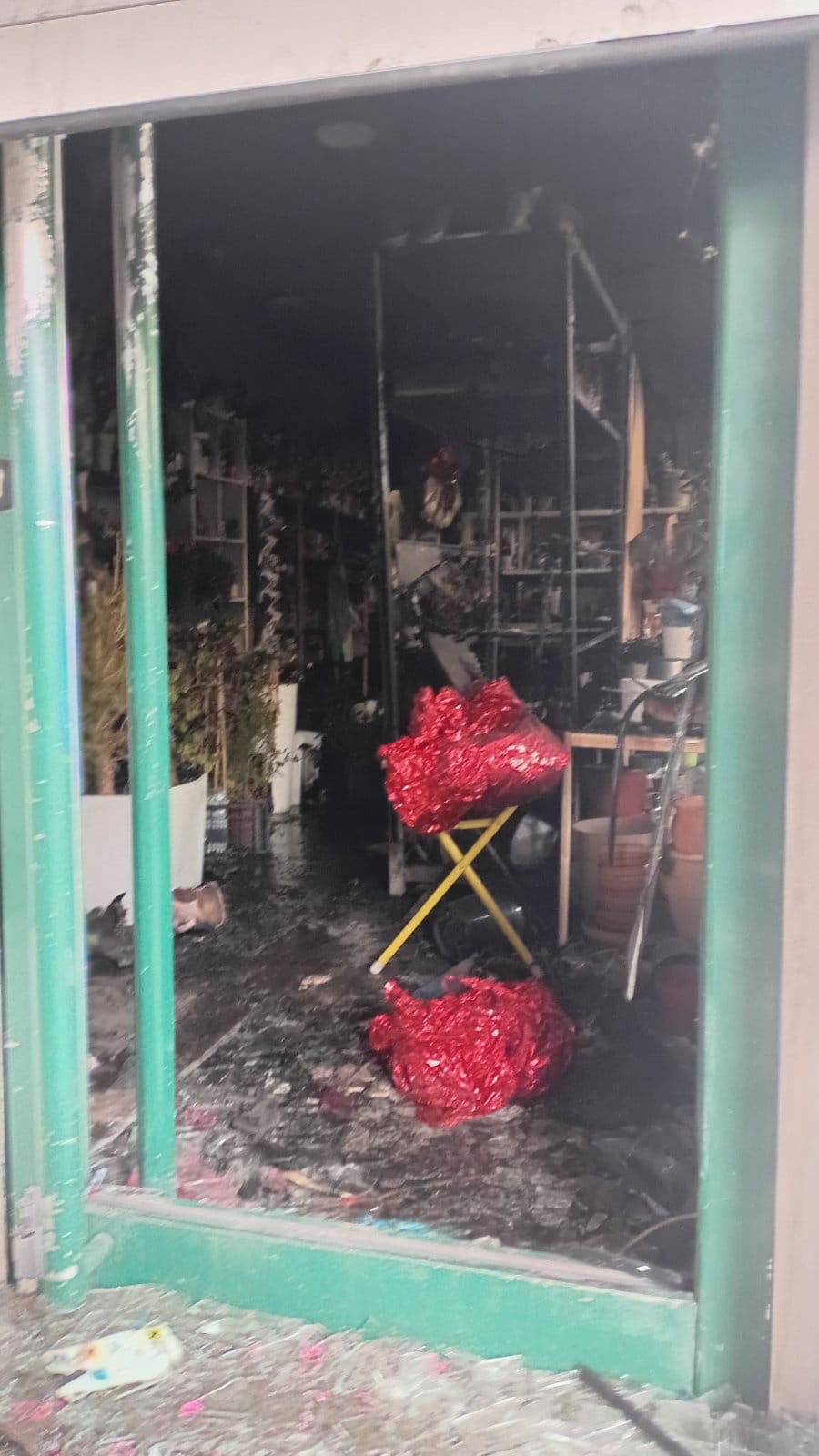 cvecara imela Foto  (10).jpeg