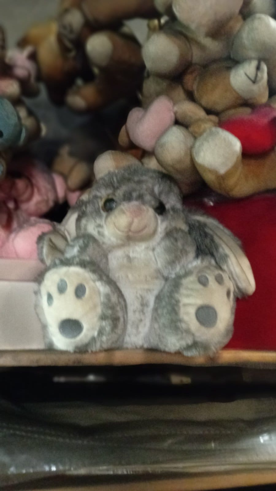 cvecara imela Foto  (8).jpeg