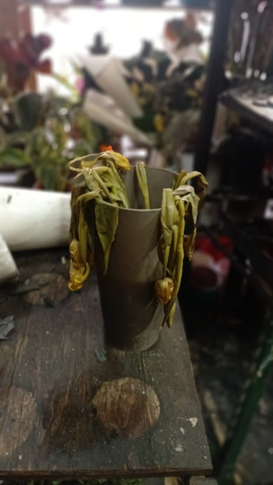 cvecara imela Foto  (6).jpeg