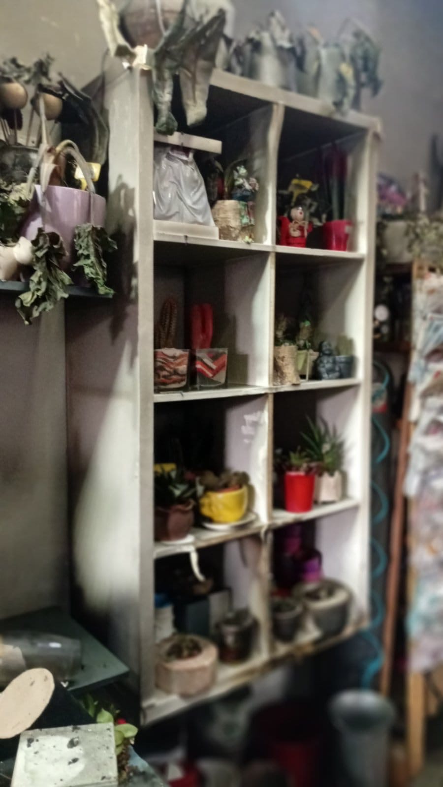 cvecara imela Foto  (1).jpeg