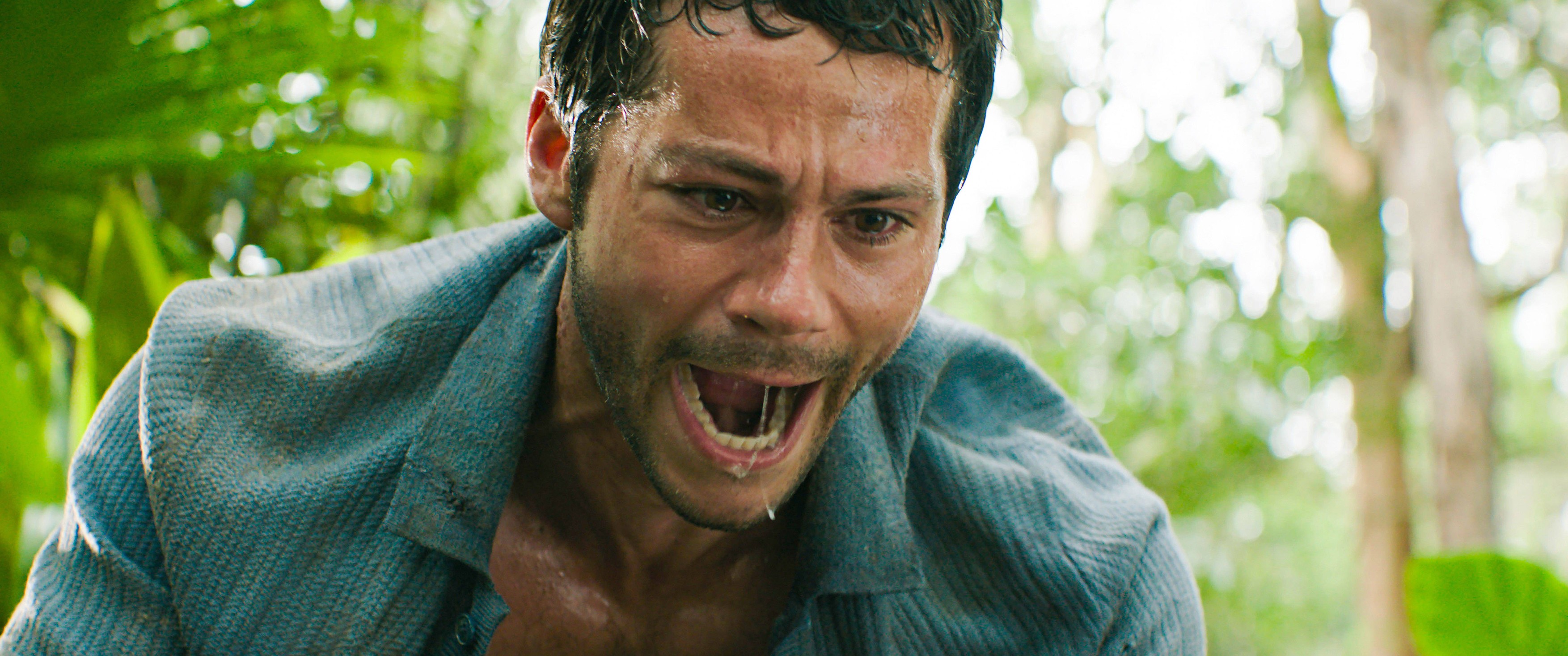 Dylan OBrien USA. Dylan OBrien in C20th Century Studios film: Send Help 2026.