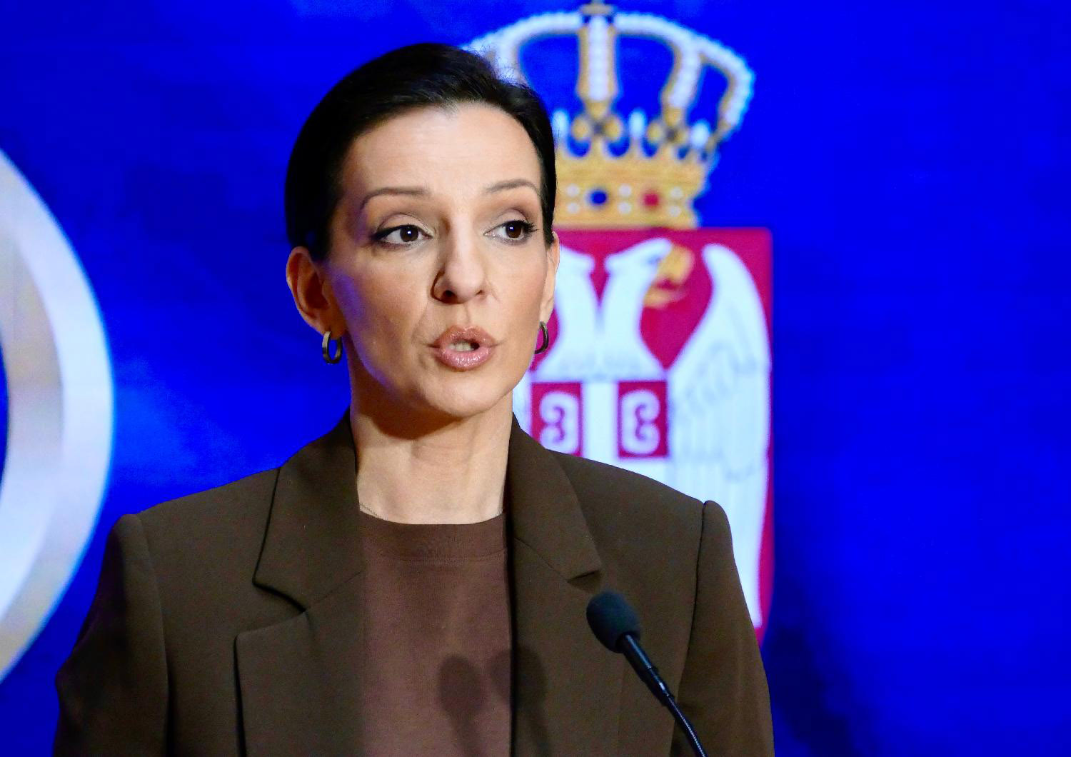 Marinika Tepić Foto: FoNet/Ognjen Stevanović +image00009_7995_b.jpg