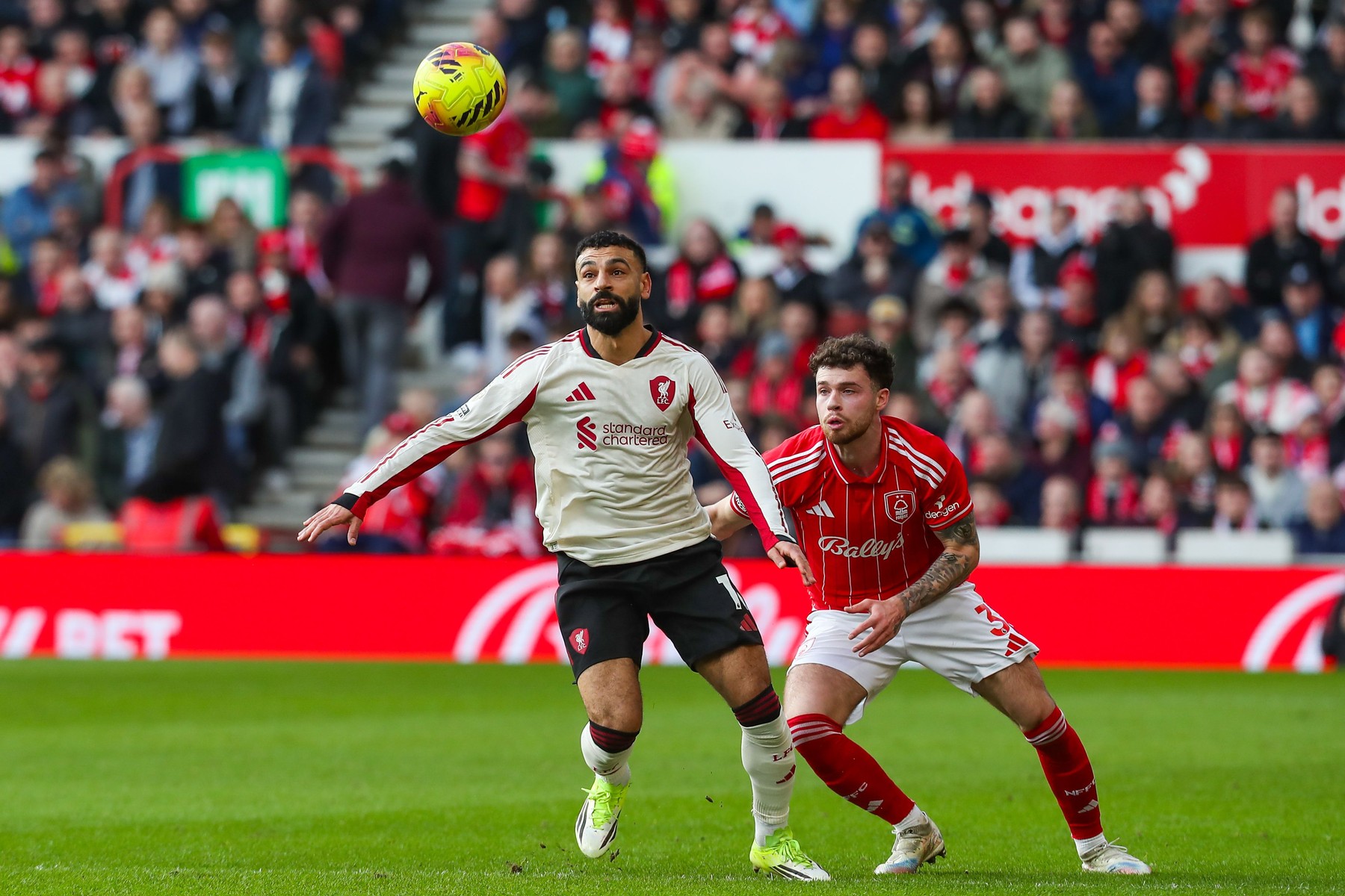 profimedia-1077489952