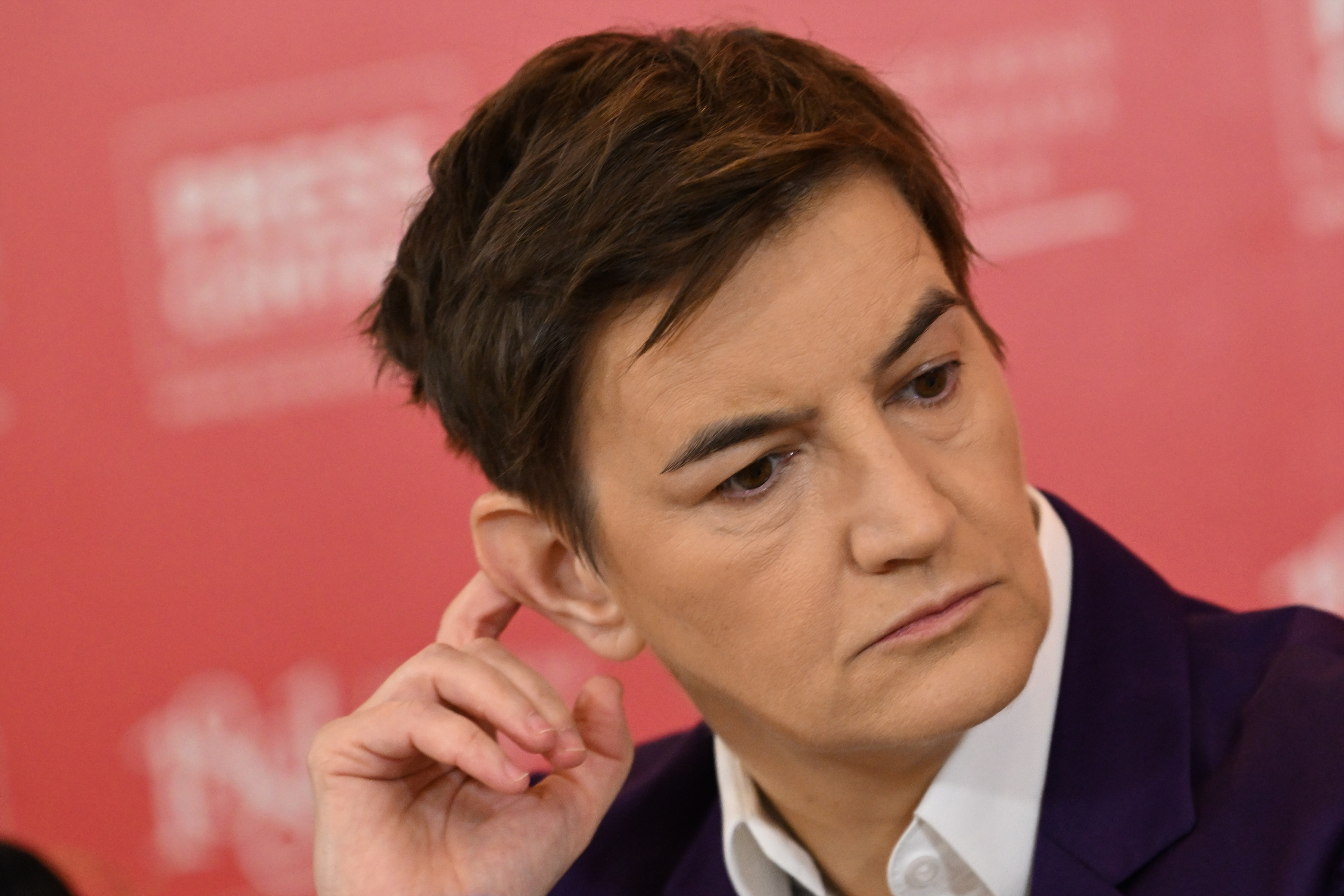 Ana Brnabić sudije_panel_23022026_0015.JPG