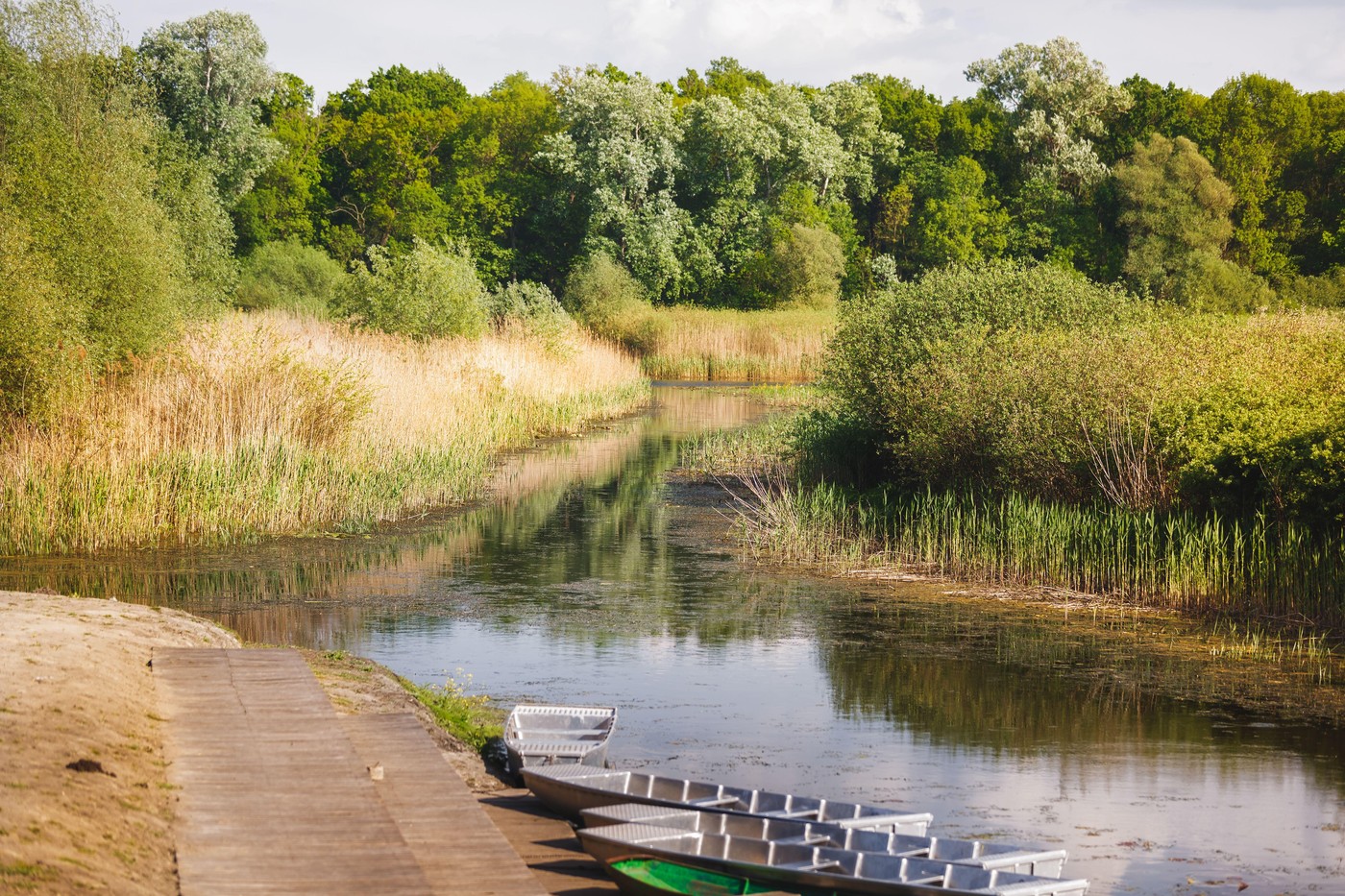 Ilustracija (reka Sava)