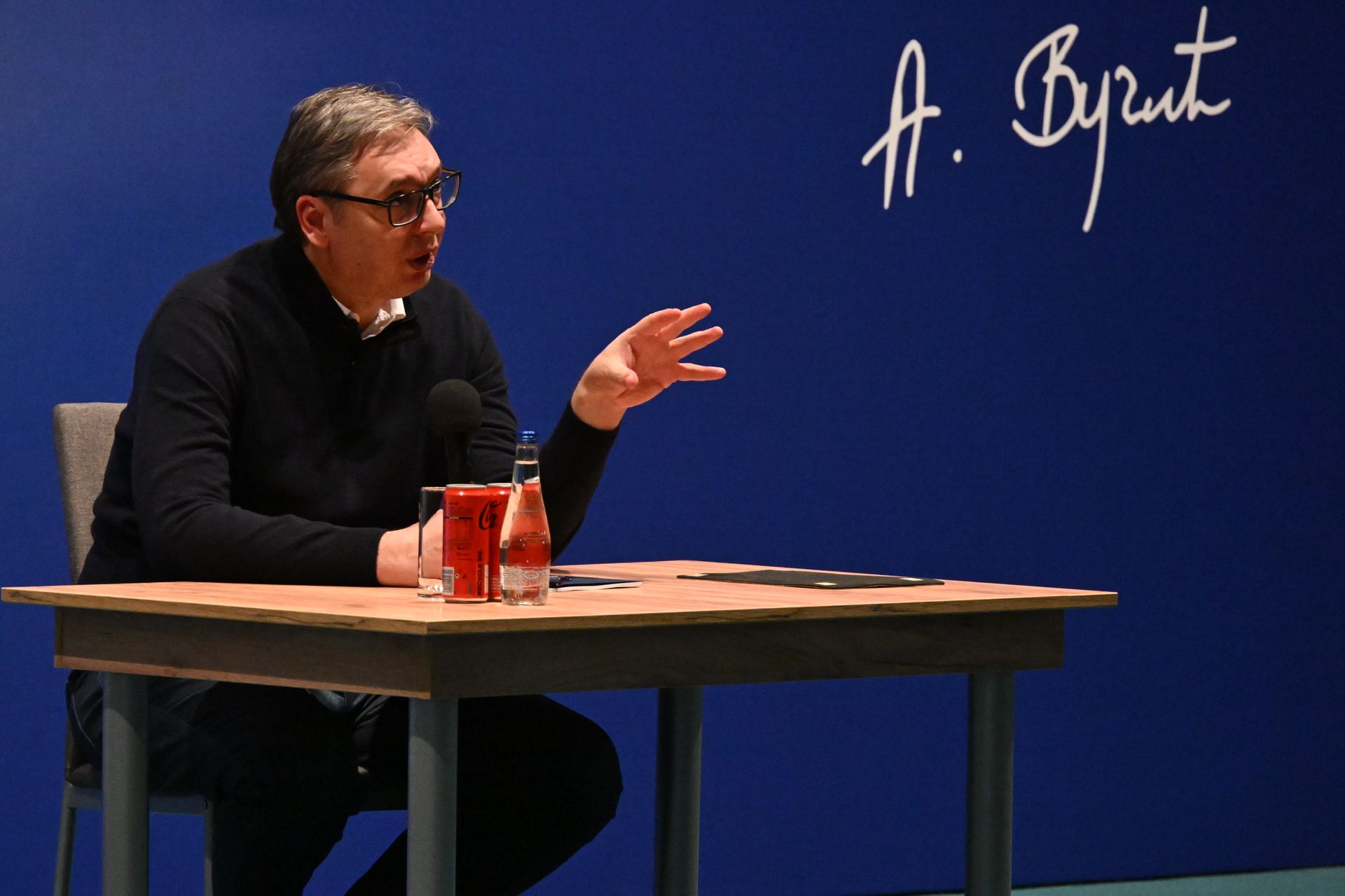 aleksandar vučić bor