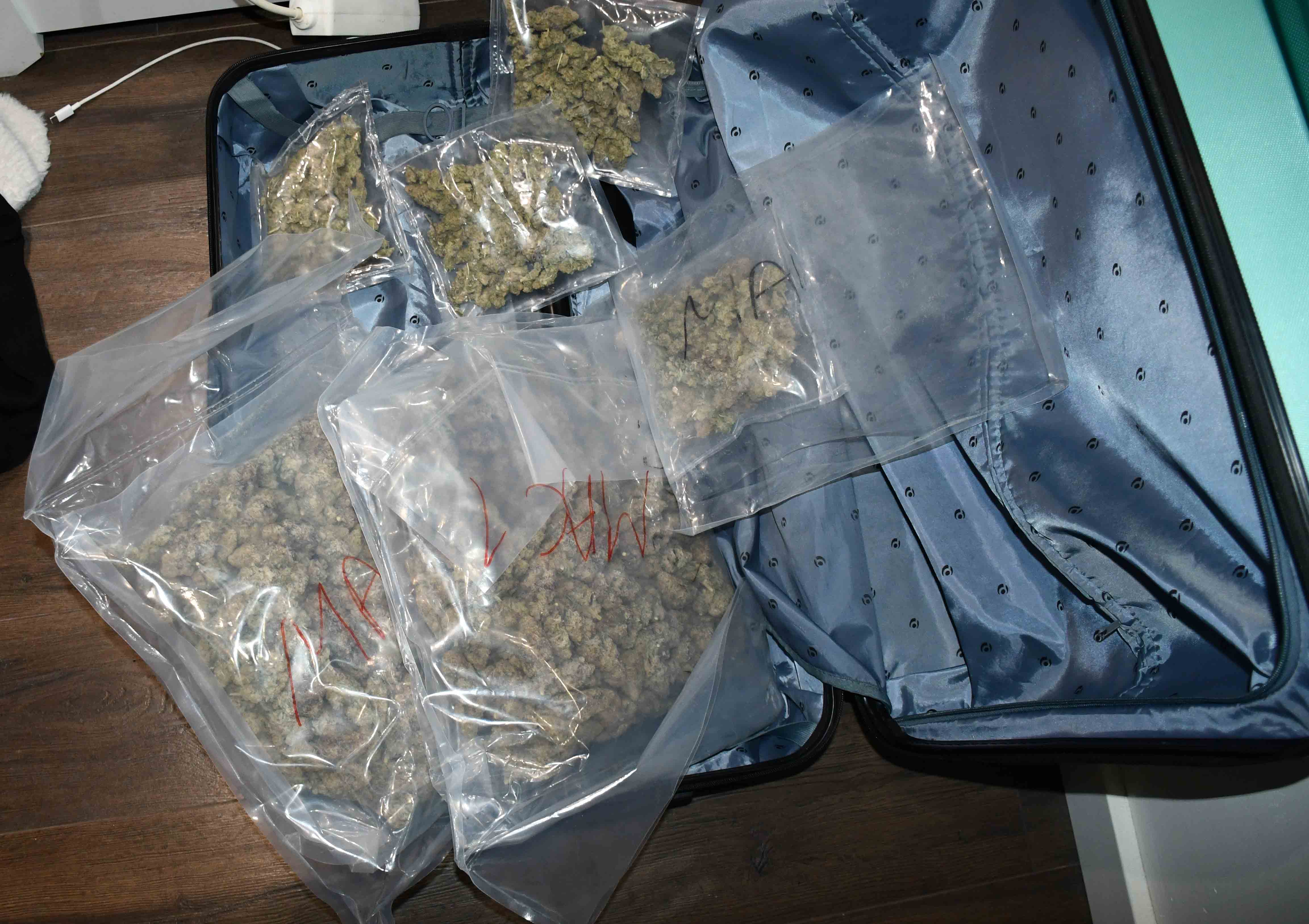 marihuana trava droga zapelna foto MUP Srbije (1).JPG