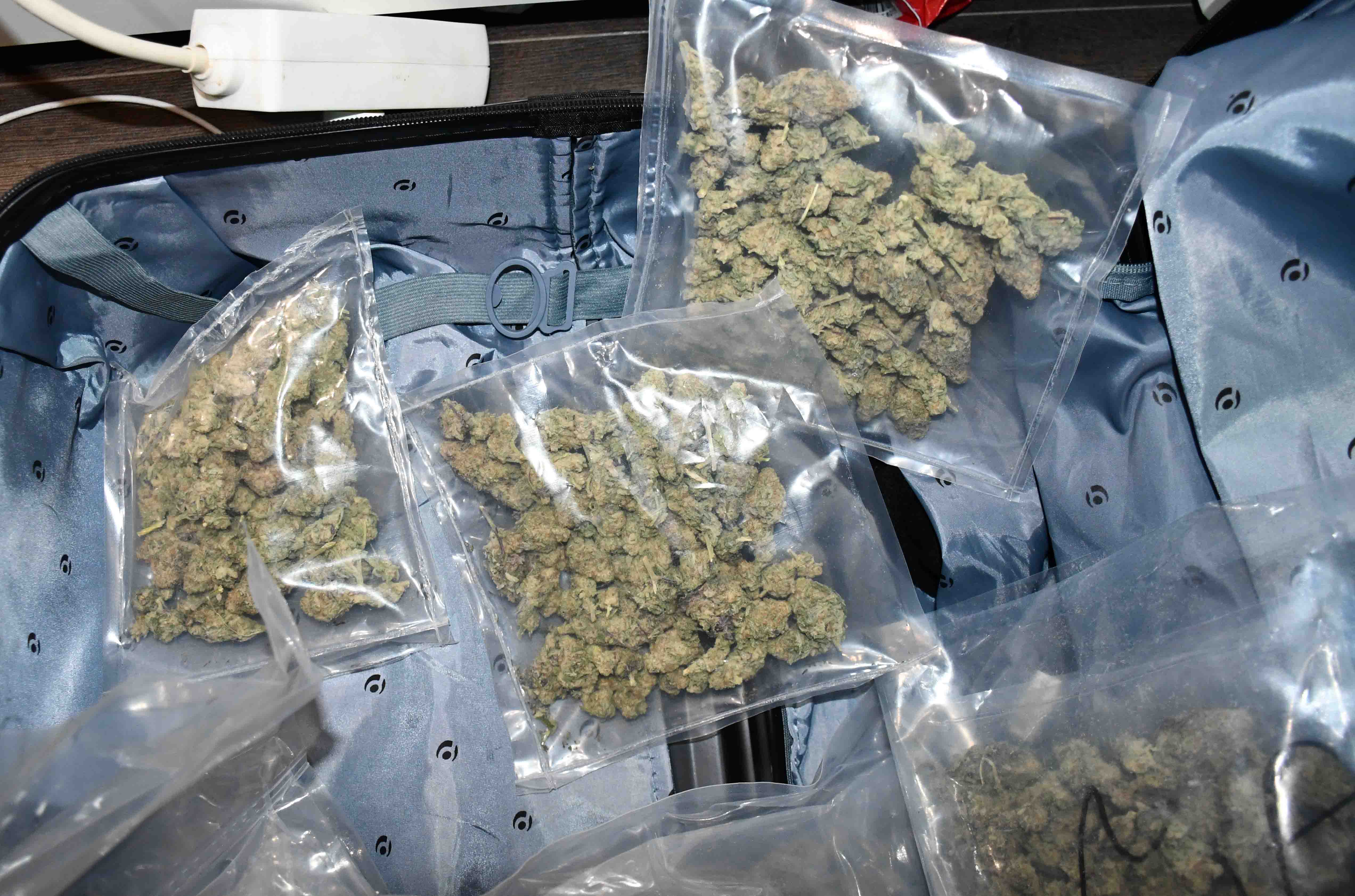 marihuana trava droga zaplena foto MUP Srbije (2).JPG