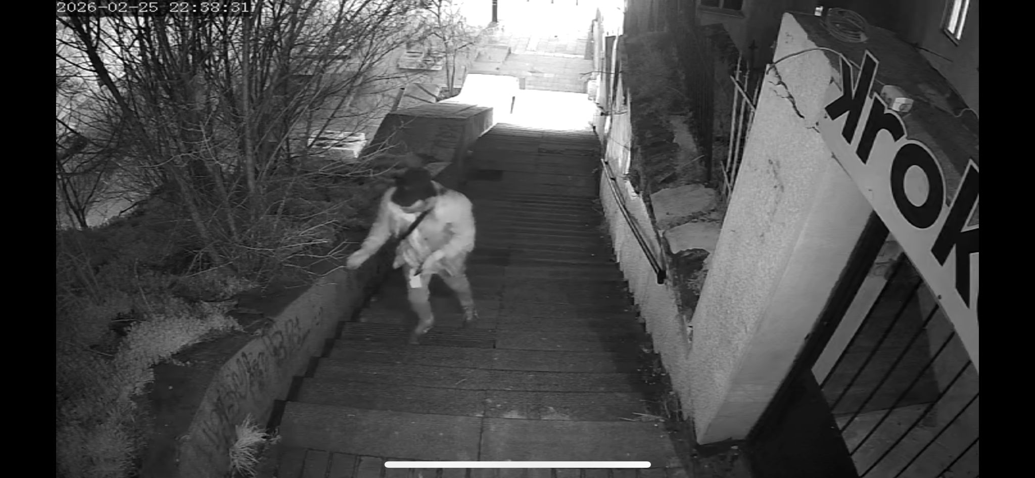 Spomenik Branka Ćopića je PONOVO vandalizovan