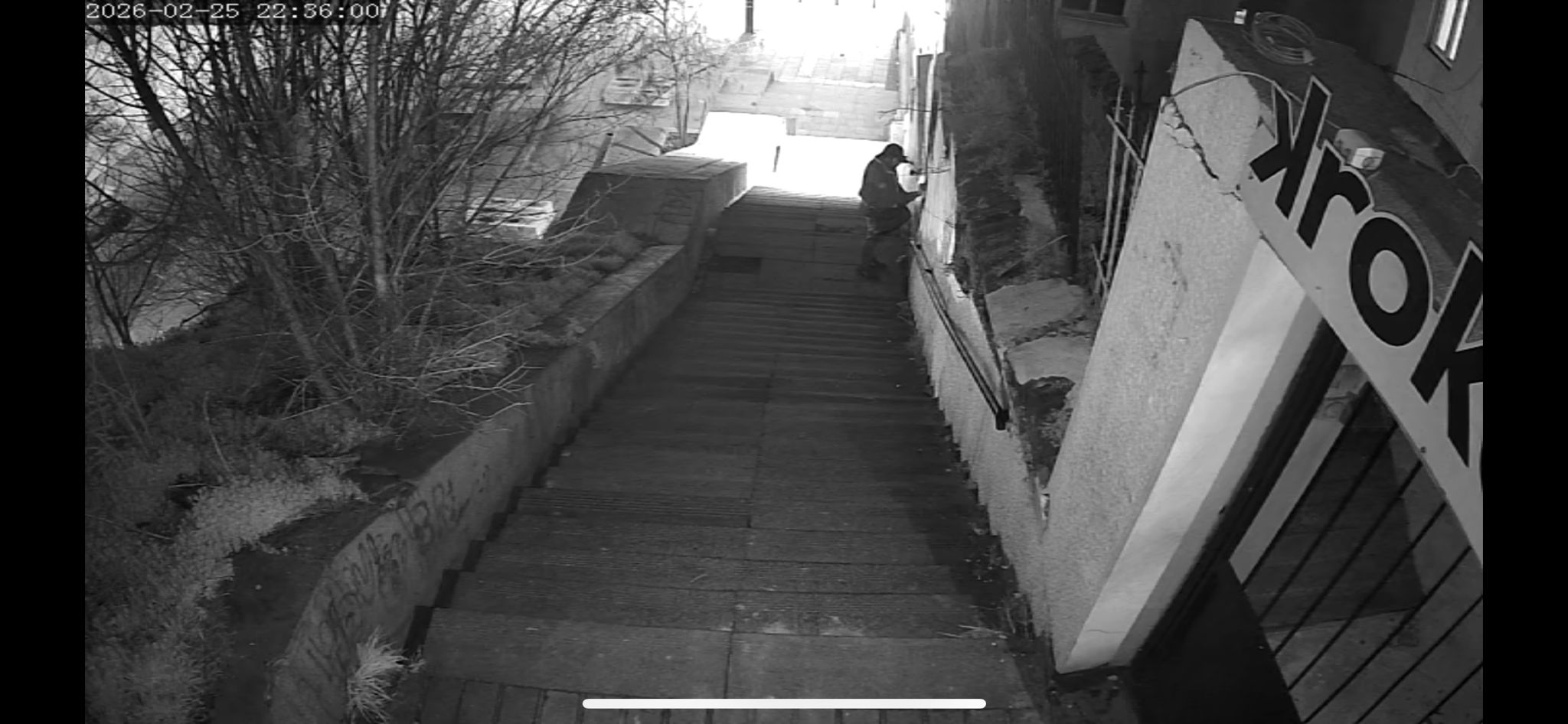 Spomenik Branka Ćopića je PONOVO vandalizovan