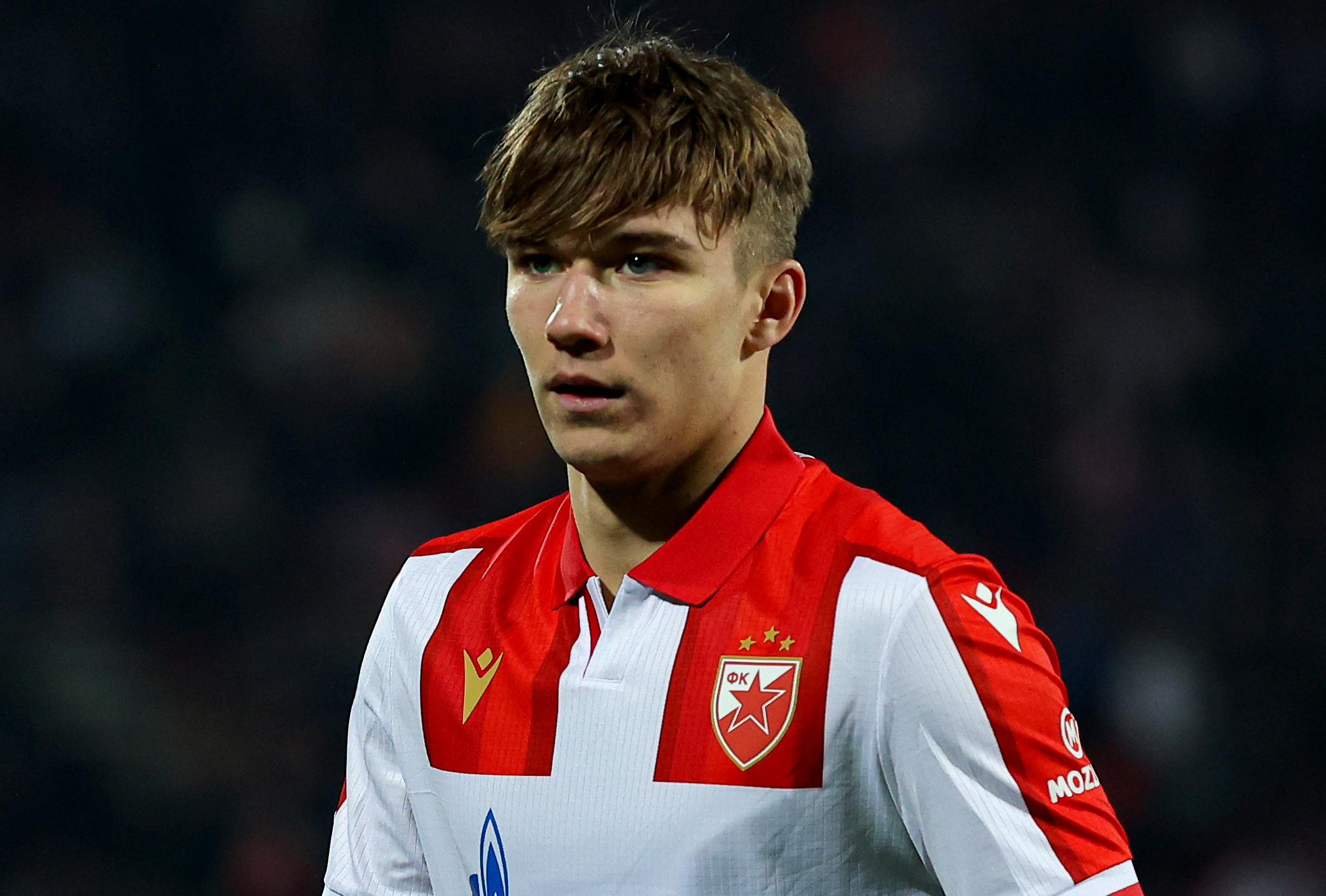 during Crvena Zvezda v Lille football match of UEFA Europa League