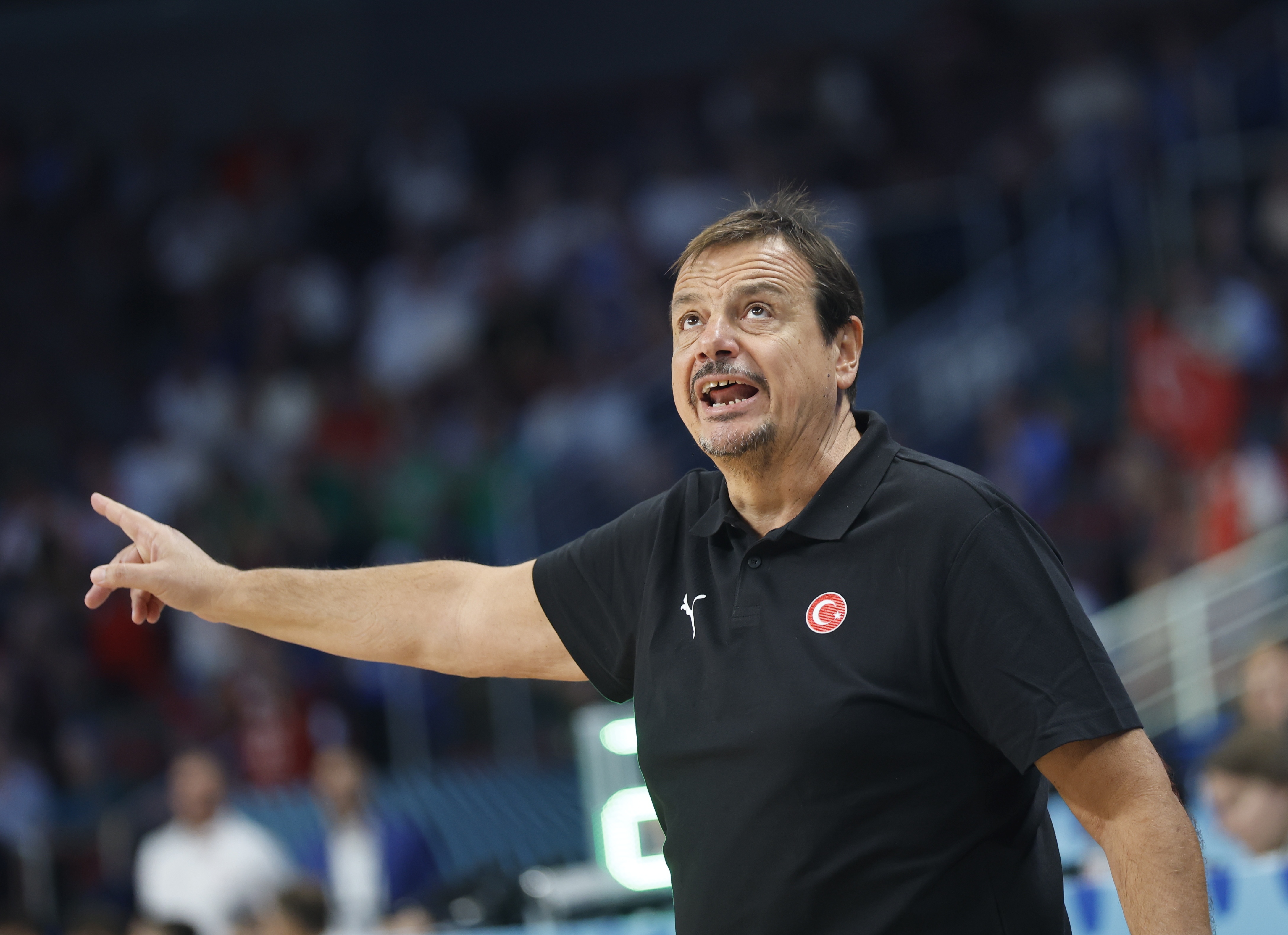 Head coach of Turkey Ergin Ataman