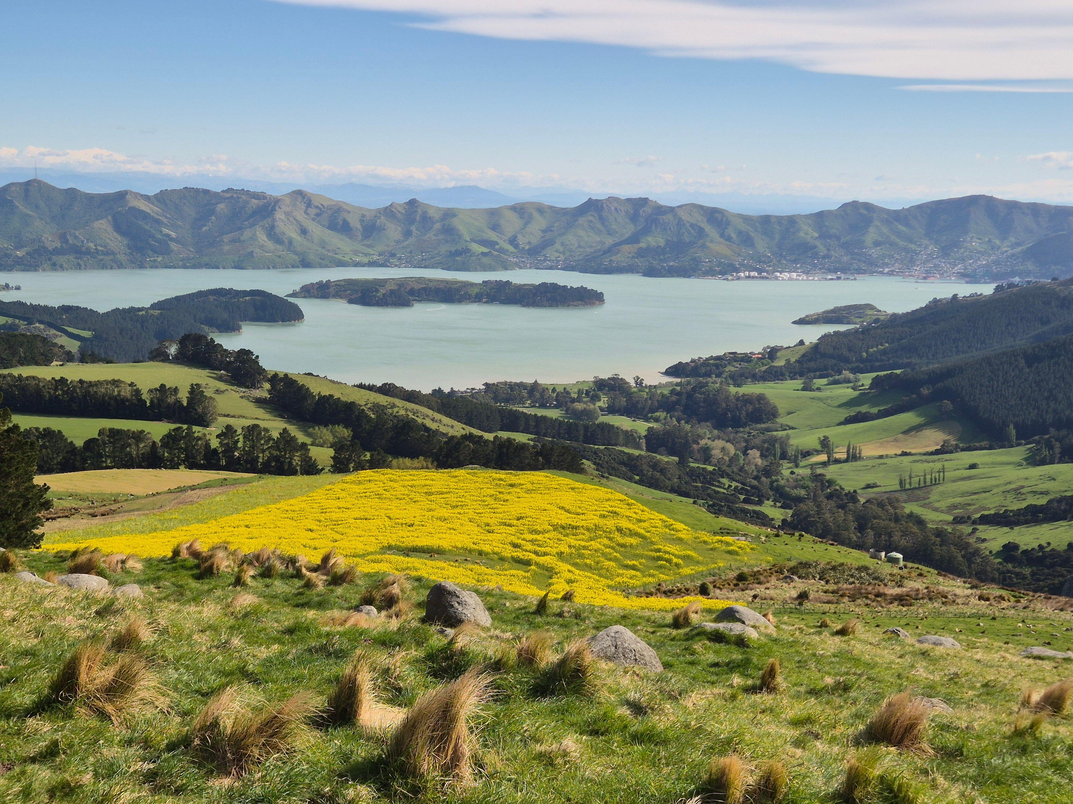 Image: 1050425203, License: Royalty-free, Restrictions: , Model Release: no, Credit line: mohammad arar / Alamy / Profimedia