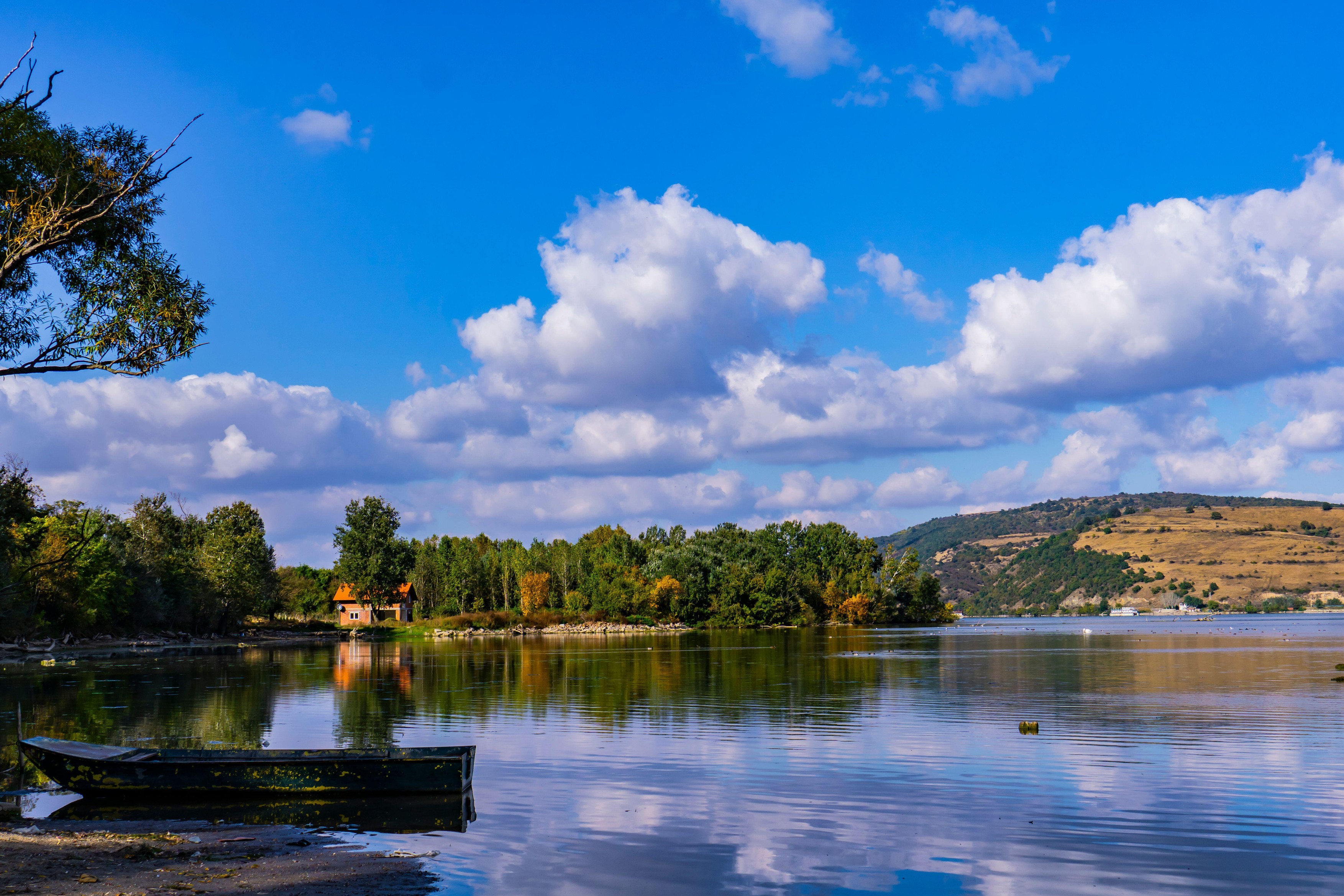 A tranquil lakeside view showcases a still body of water