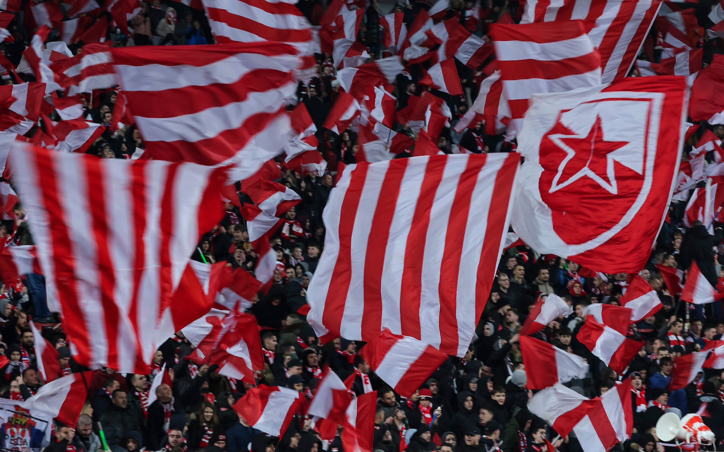 delije, navijaci, fans, supporters, zastave, ilustracija, illustration, Crvena zvezda