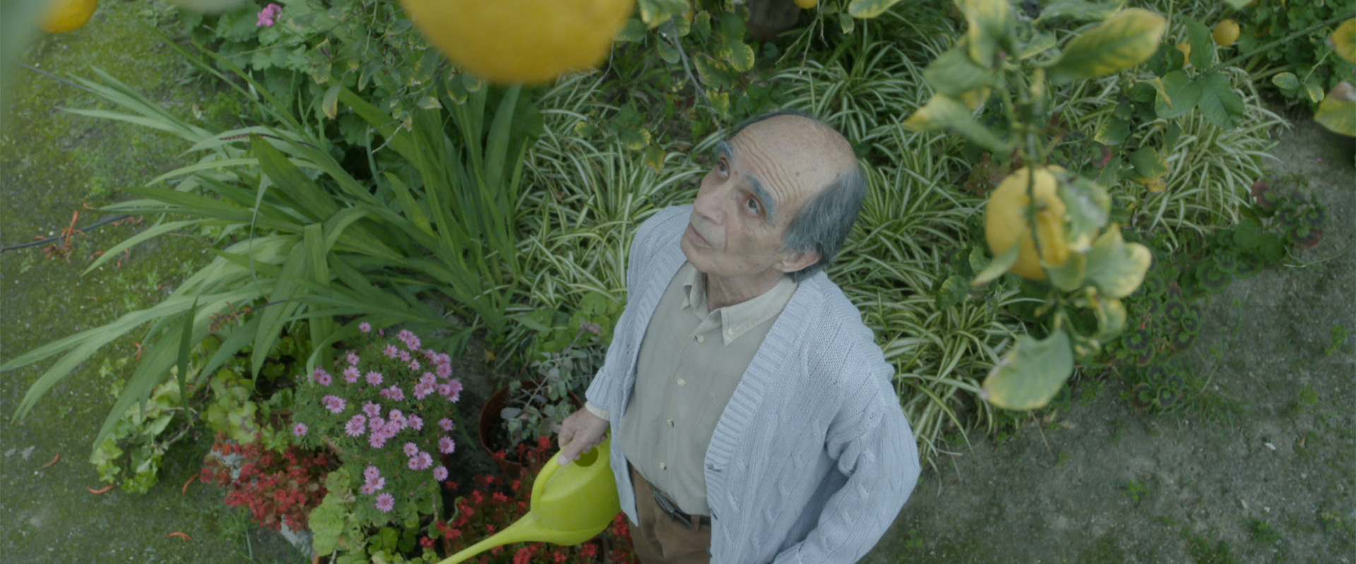 SENIOR CITIZEN 1 ©A.B. Seahorse Film Productions Ltd.jpg