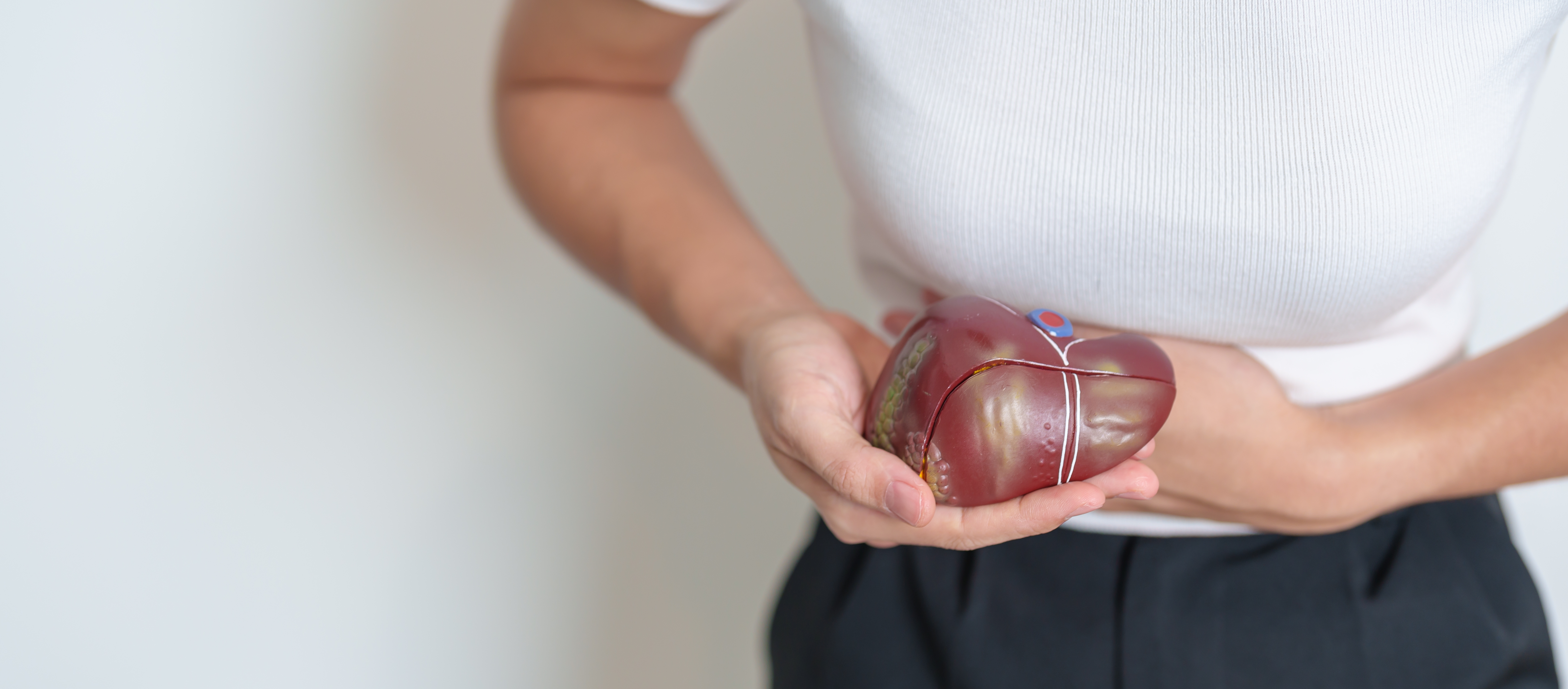 Transplantacija Liver Cancer shutterstock_2467013197.jpg