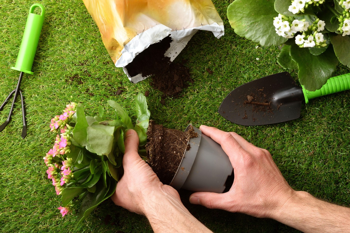 profimedia-1078664093