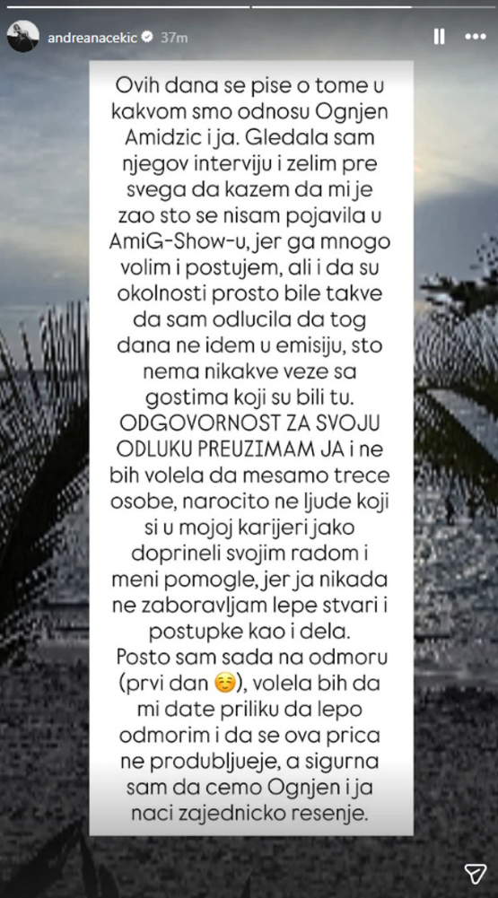 Printskrin Instagram/andreanacekic